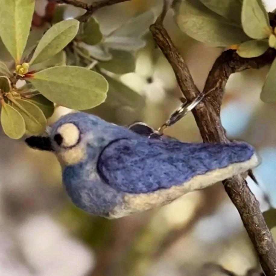 Geoff the Mountain Bluebird.jpg