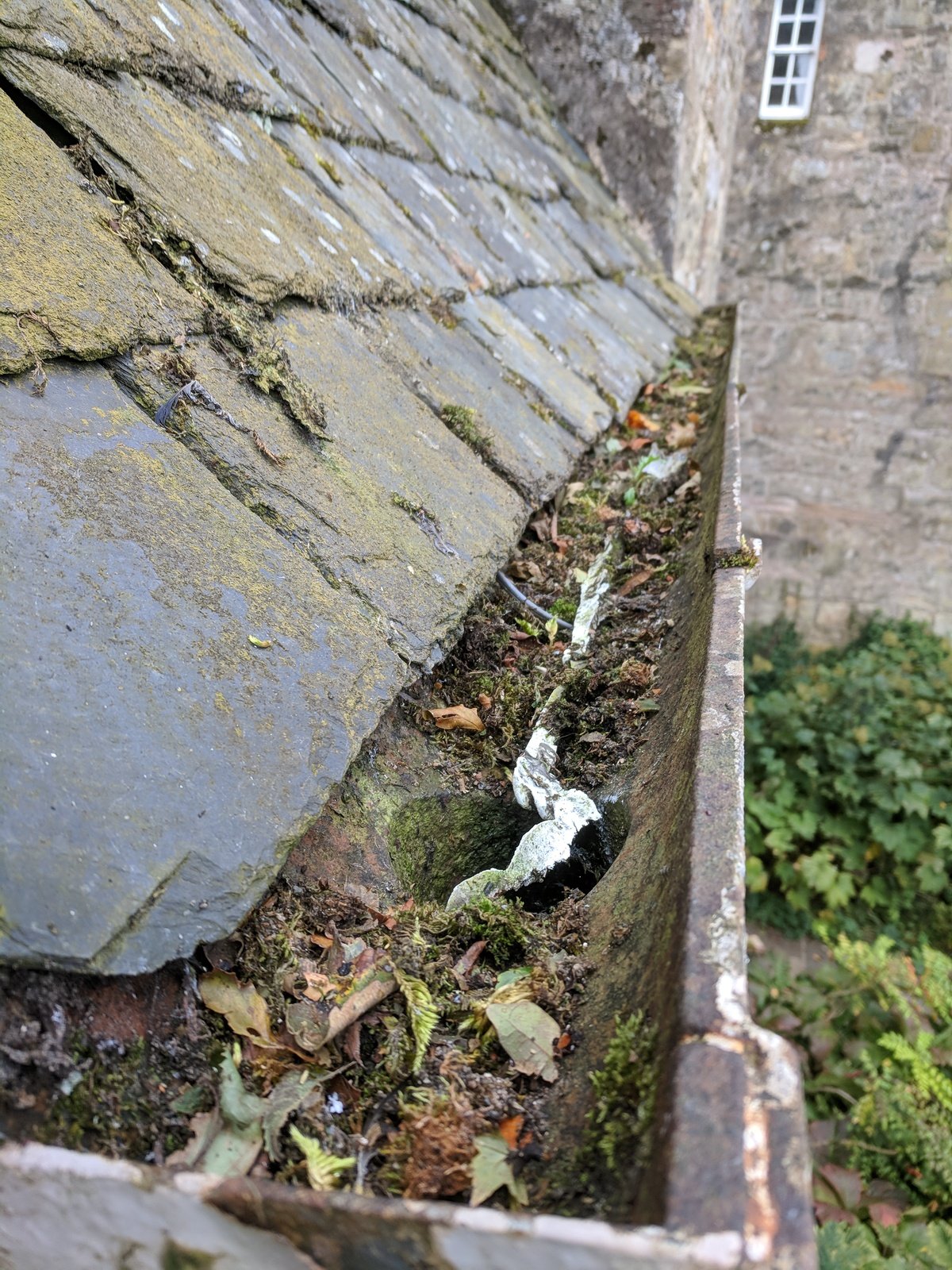 IMG_20180927_110017.jpg