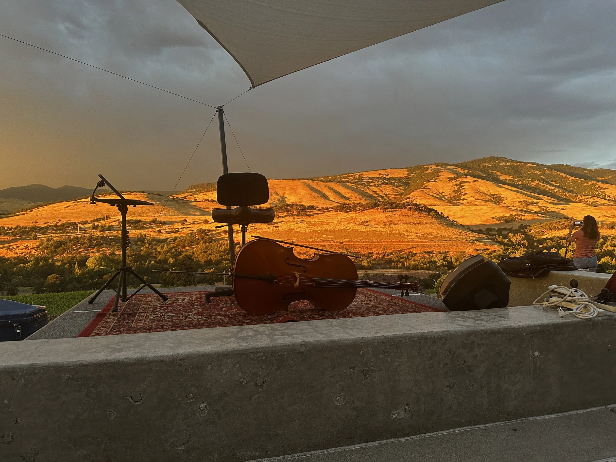 Creating beauty and order…