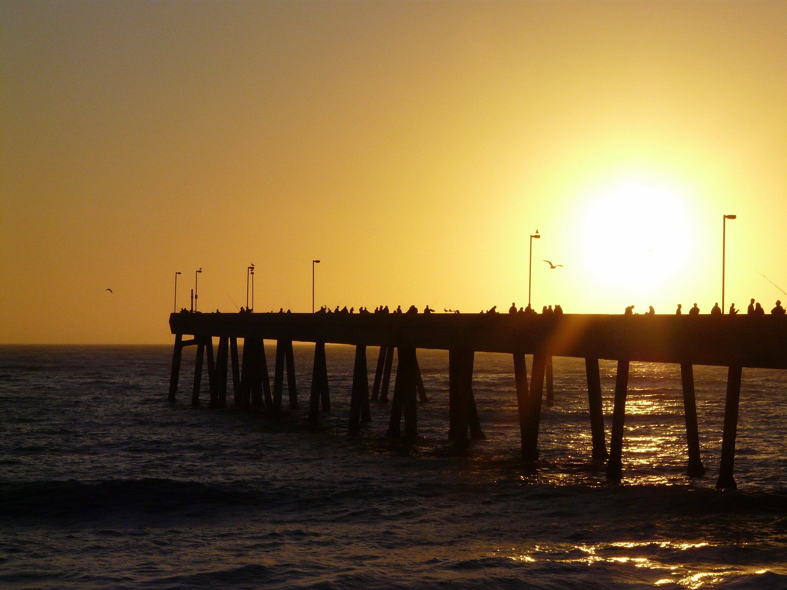 "Pacifica Pier" by *~Dawn~* is licensed under CC BY 2.0.