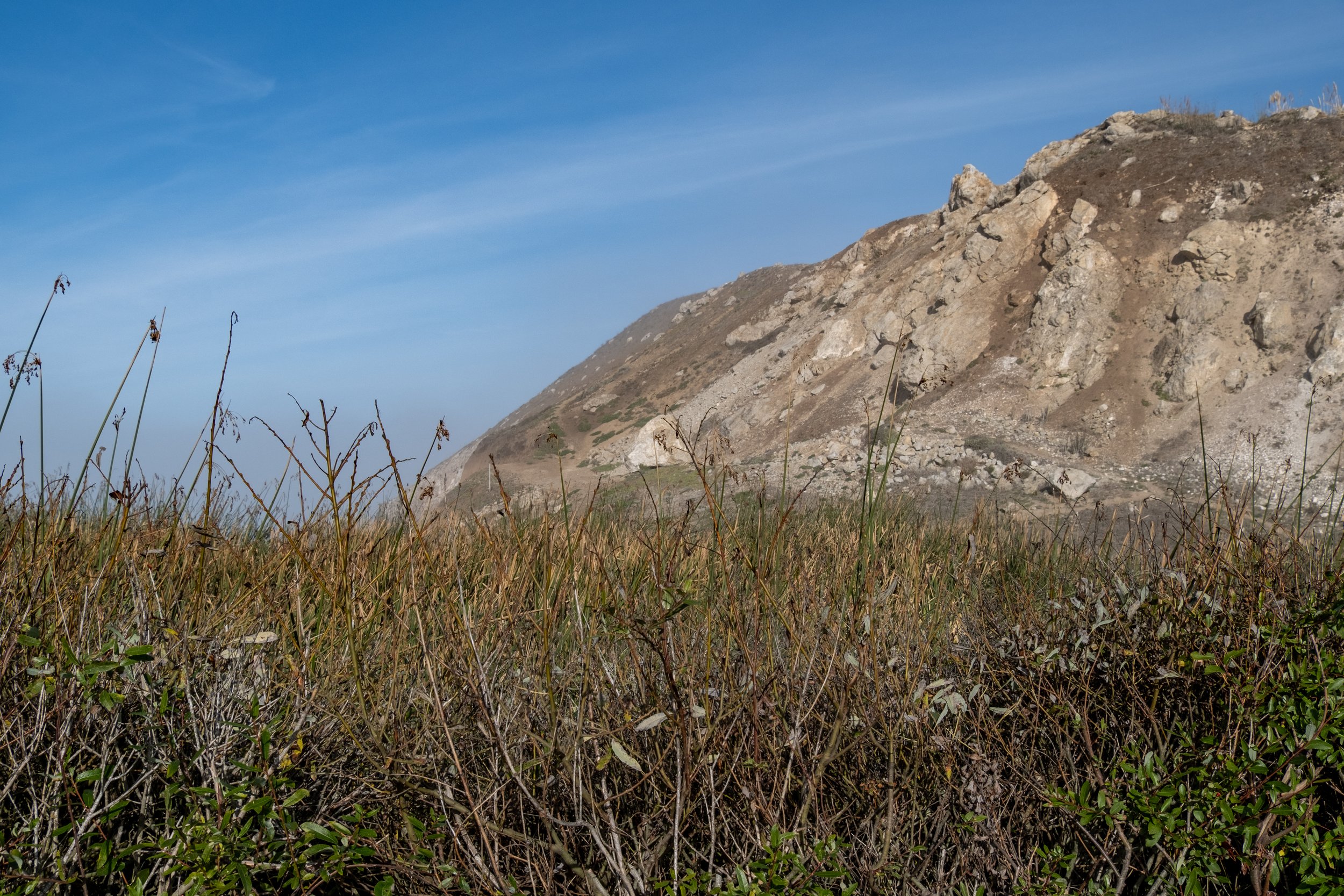 "Rockaway Beach, Pacifica 11/27/22" by Sharon Mollerus is licensed under CC BY 2.0.