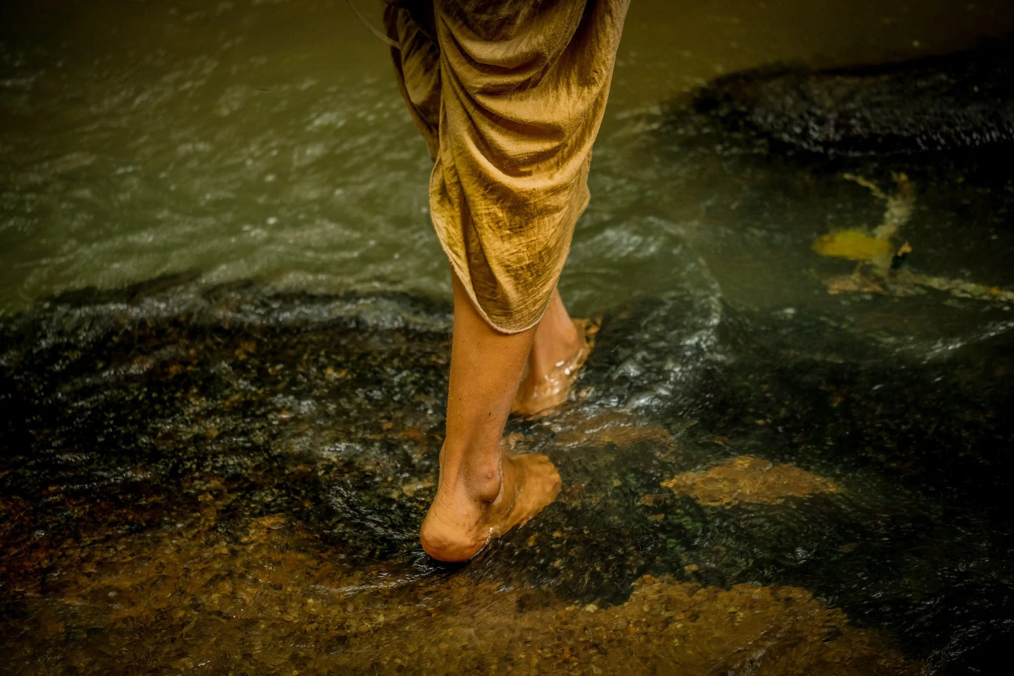 beingnaturedoloresfineart0.jpg
