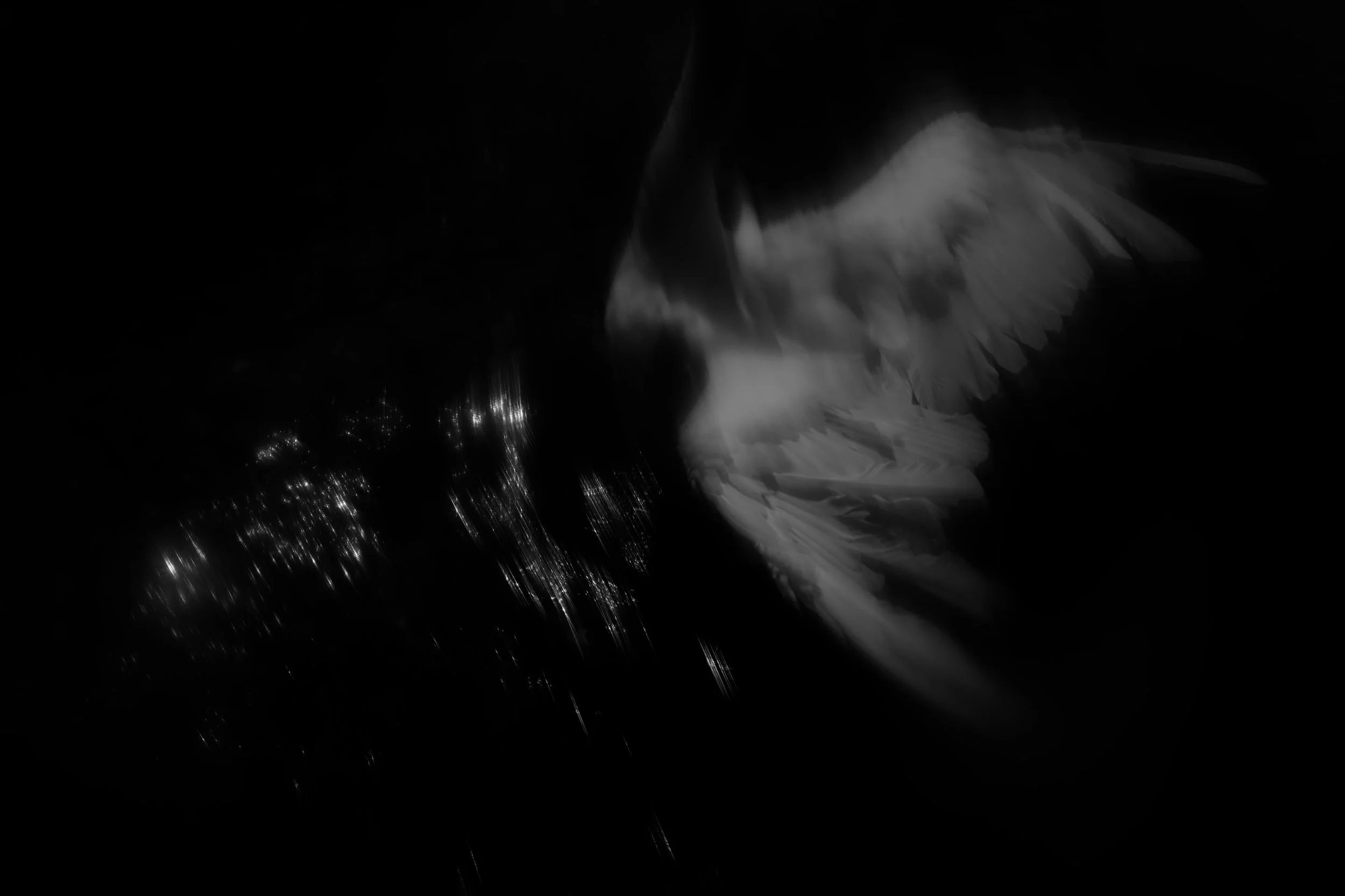 DSCF0805_DXObw.jpg