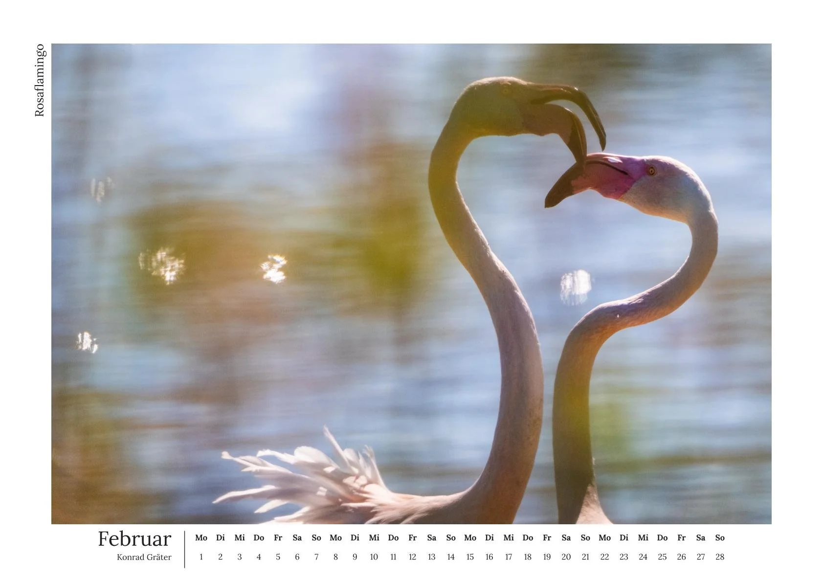 Augustenbühl_konradgraeter Kalender 2027-03.jpg