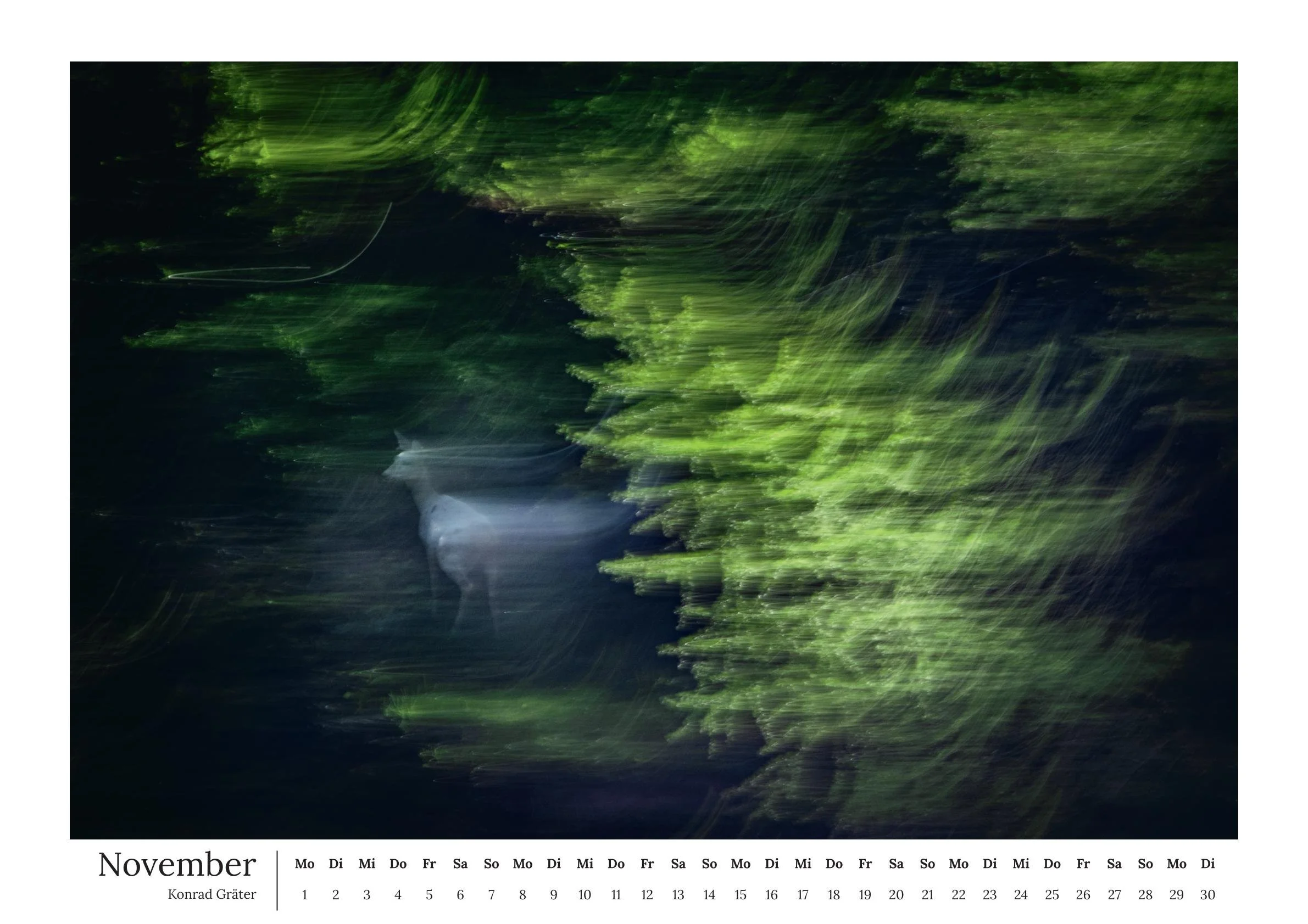 Nature as Art Kalender 2027-12.jpg