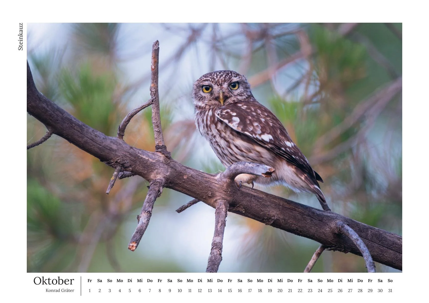 Augustenbühl_konradgraeter Kalender 2027-11.jpg
