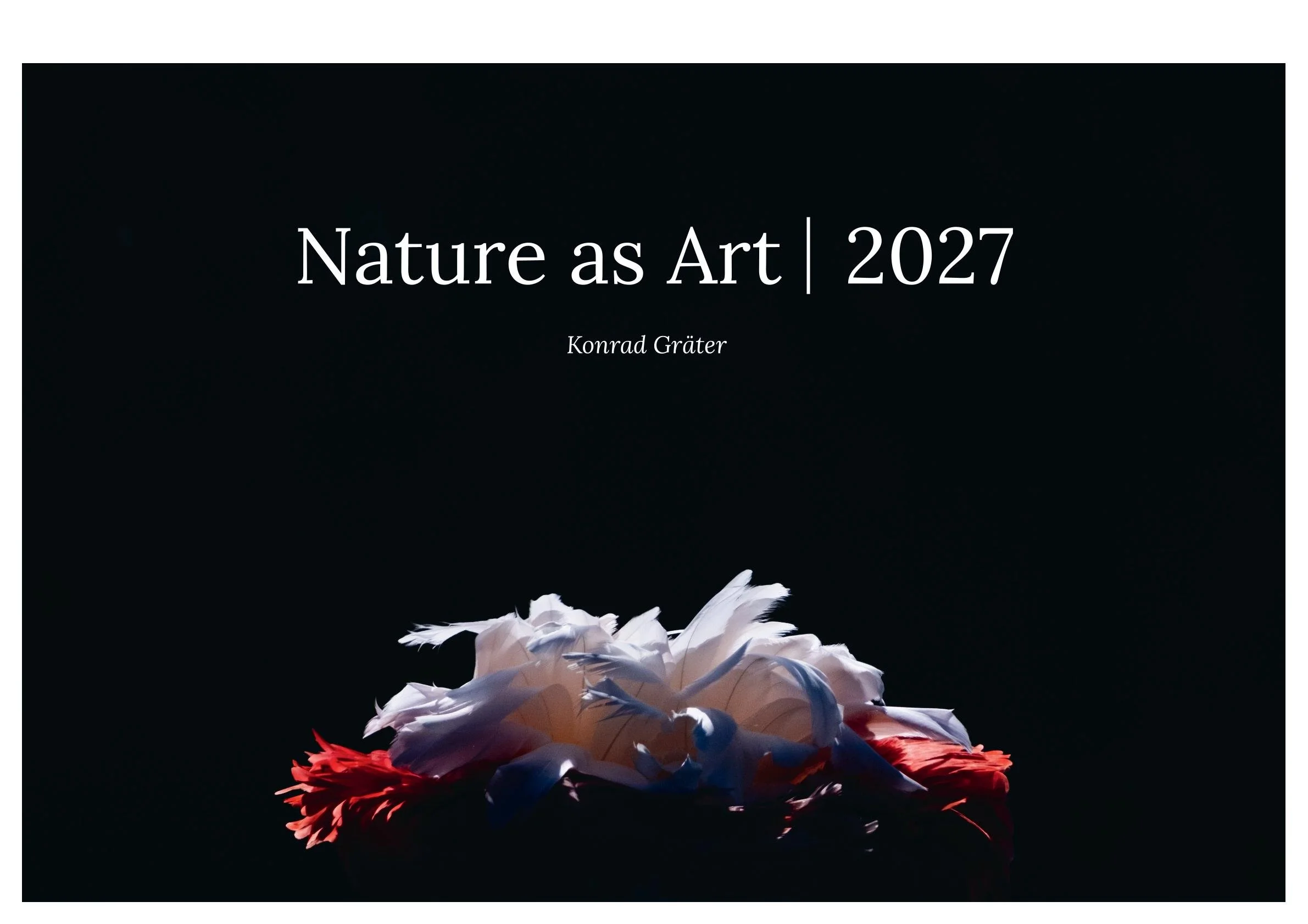 Nature as Art Kalender 2027-01.jpg