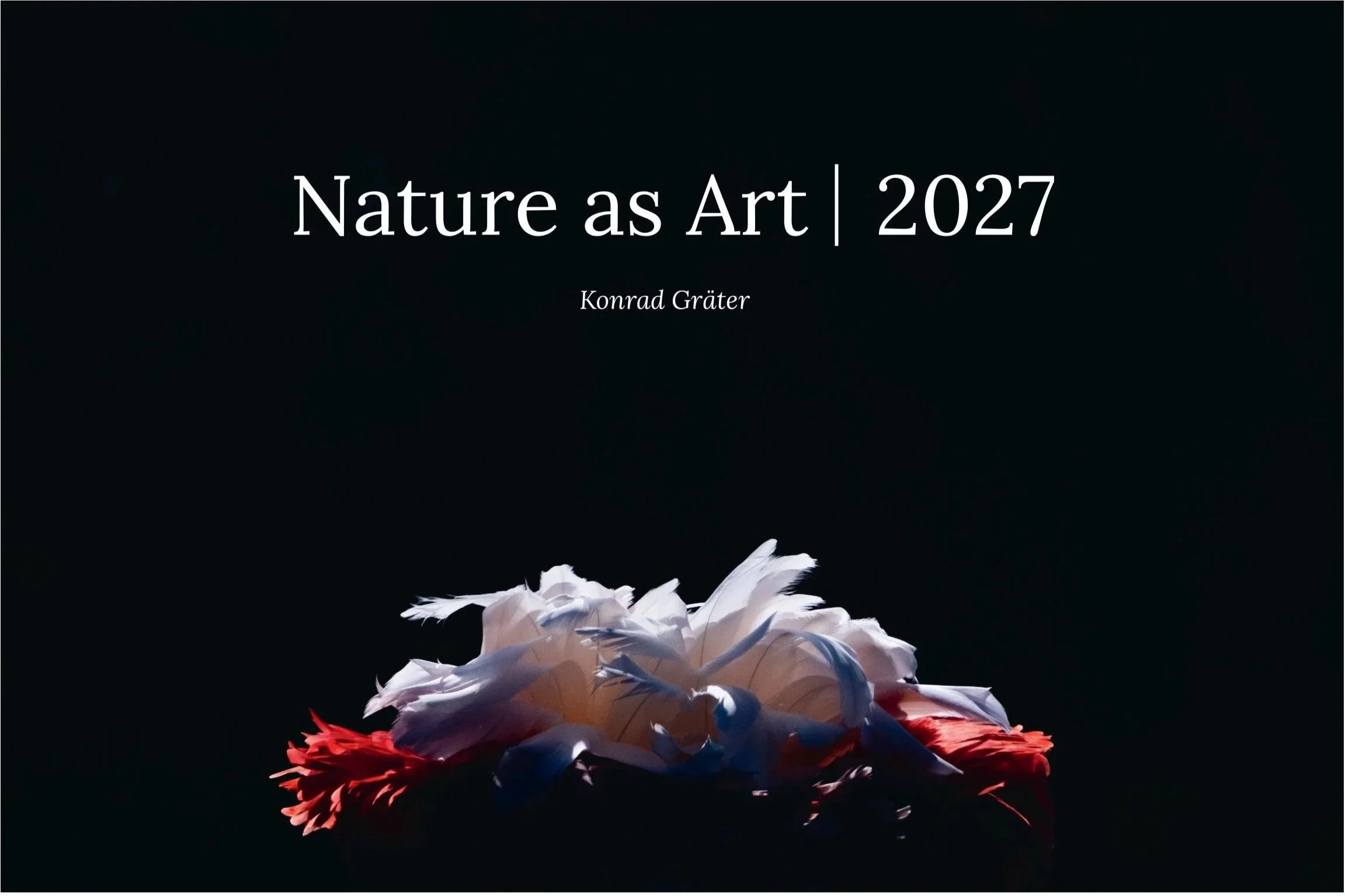 Nature as Art 2027