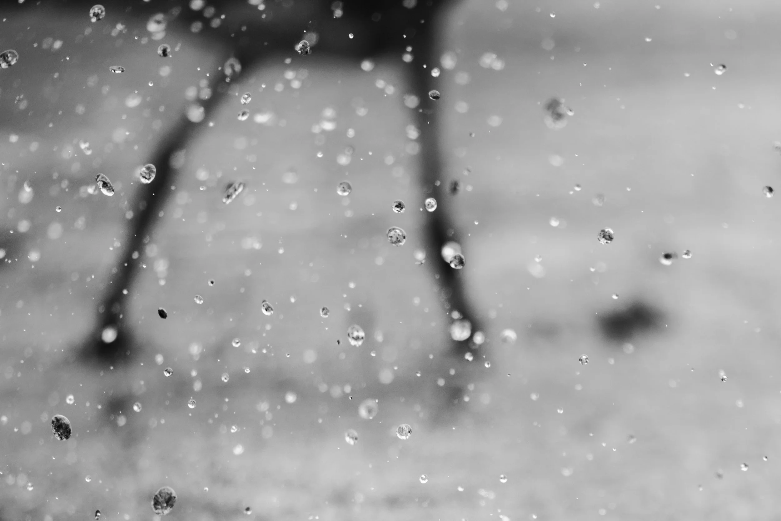 DSCF2941_DXO.jpg