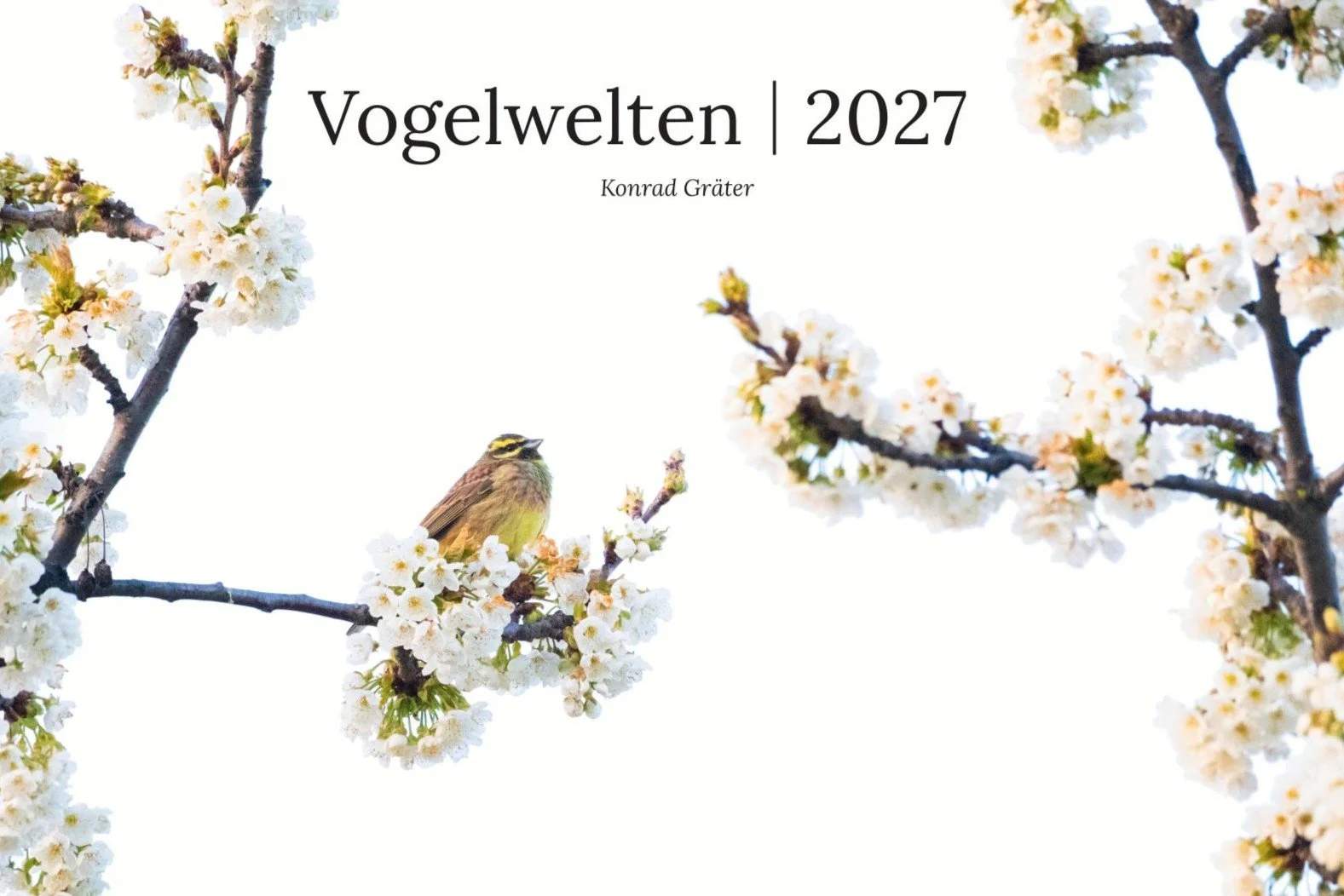 Augustenbühl_konradgraeter Kalender 2027 Titelbeschnitt.jpg