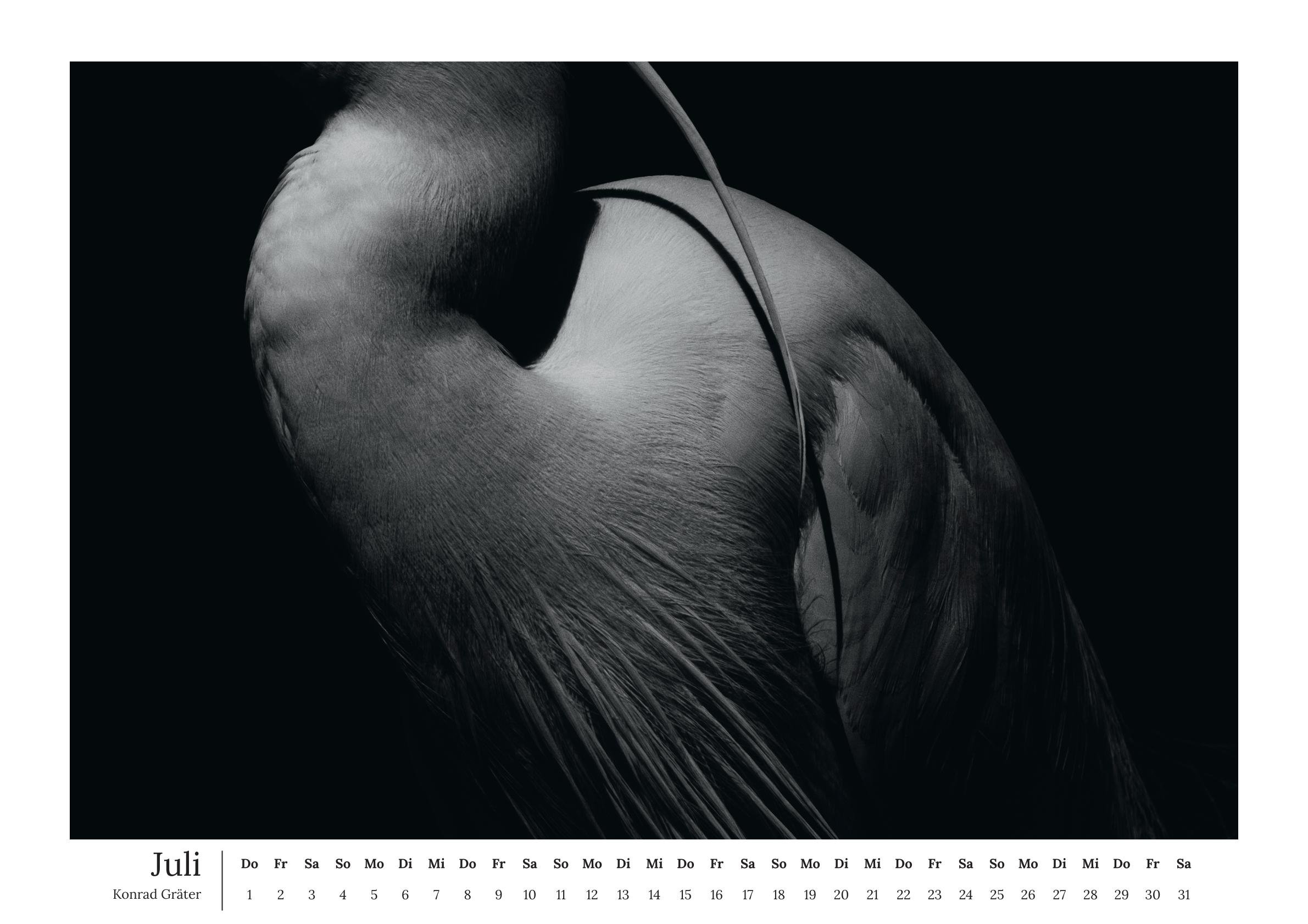 Nature as Art Kalender 2027-08.jpg