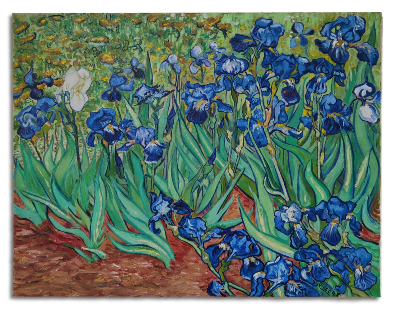 Iris. After Vincent van Gogh, 1889, oil on canvas, cm 70 x 90, 2025.