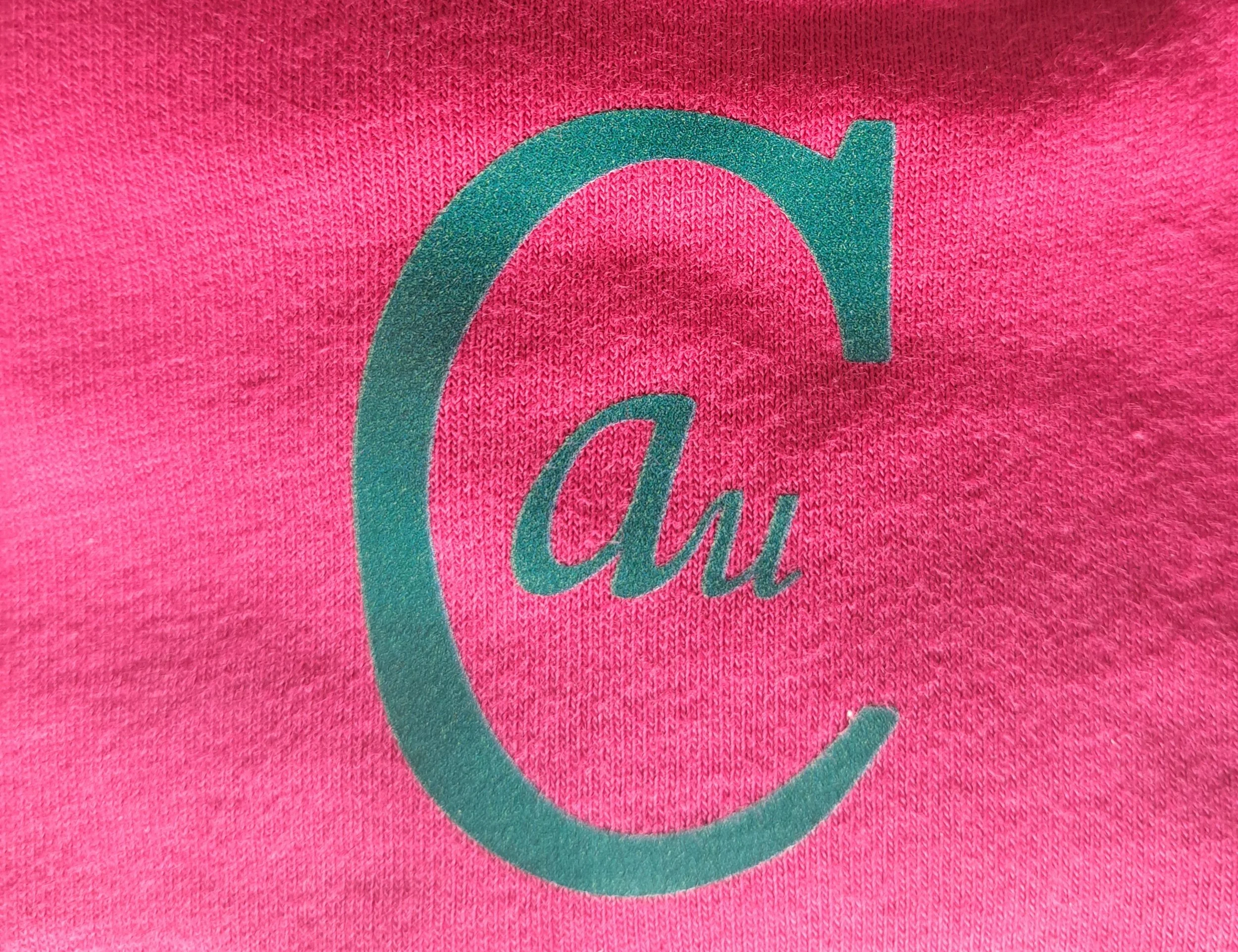 Berry Blue cropped logo 04.19.16.jpeg