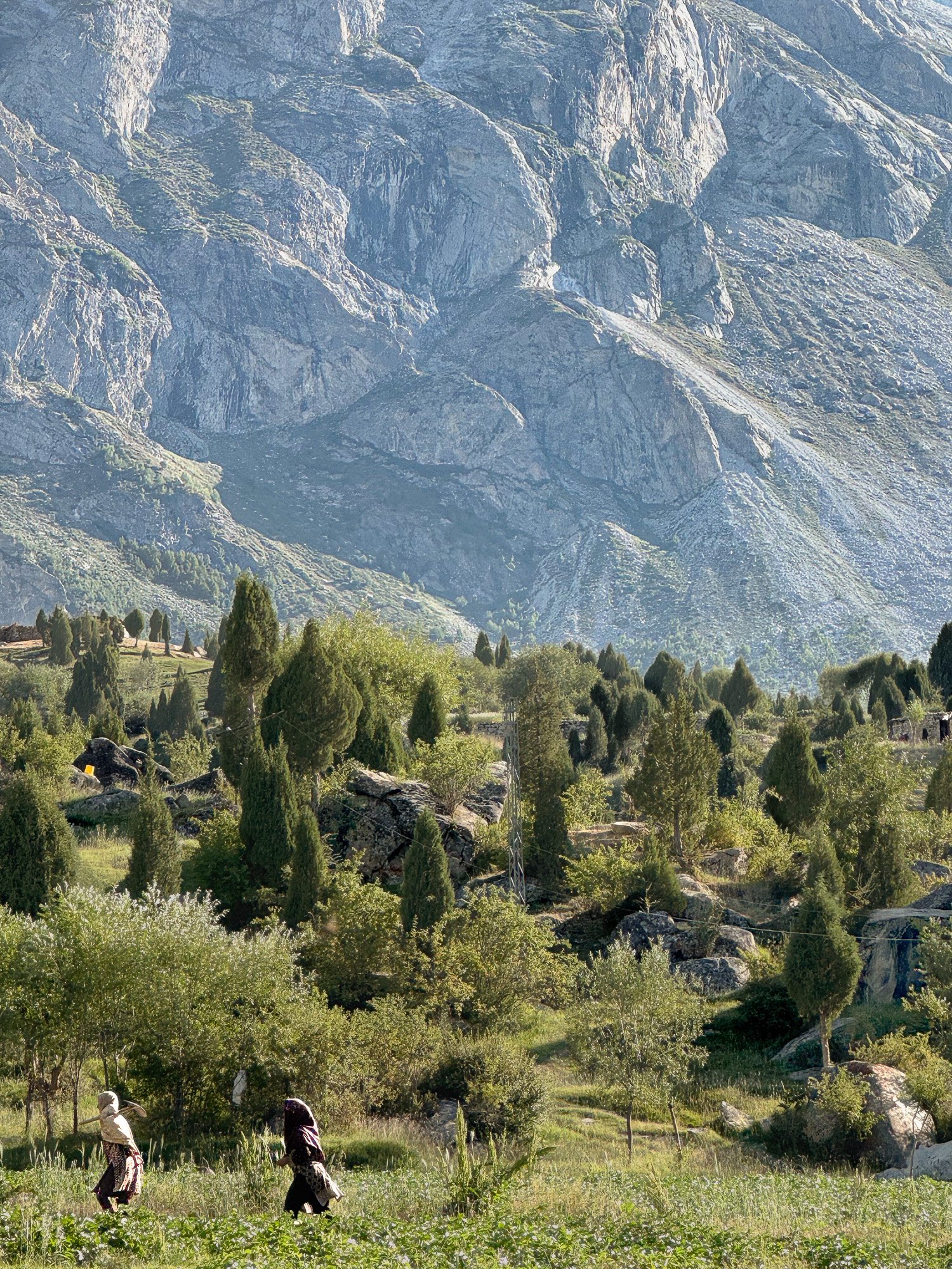 roenne Pakistan-62.jpg