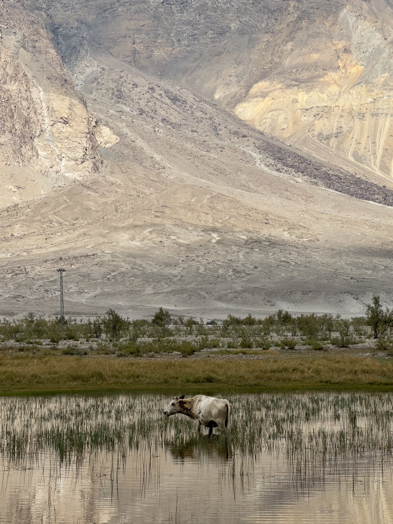 roenne Pakistan-72.jpg