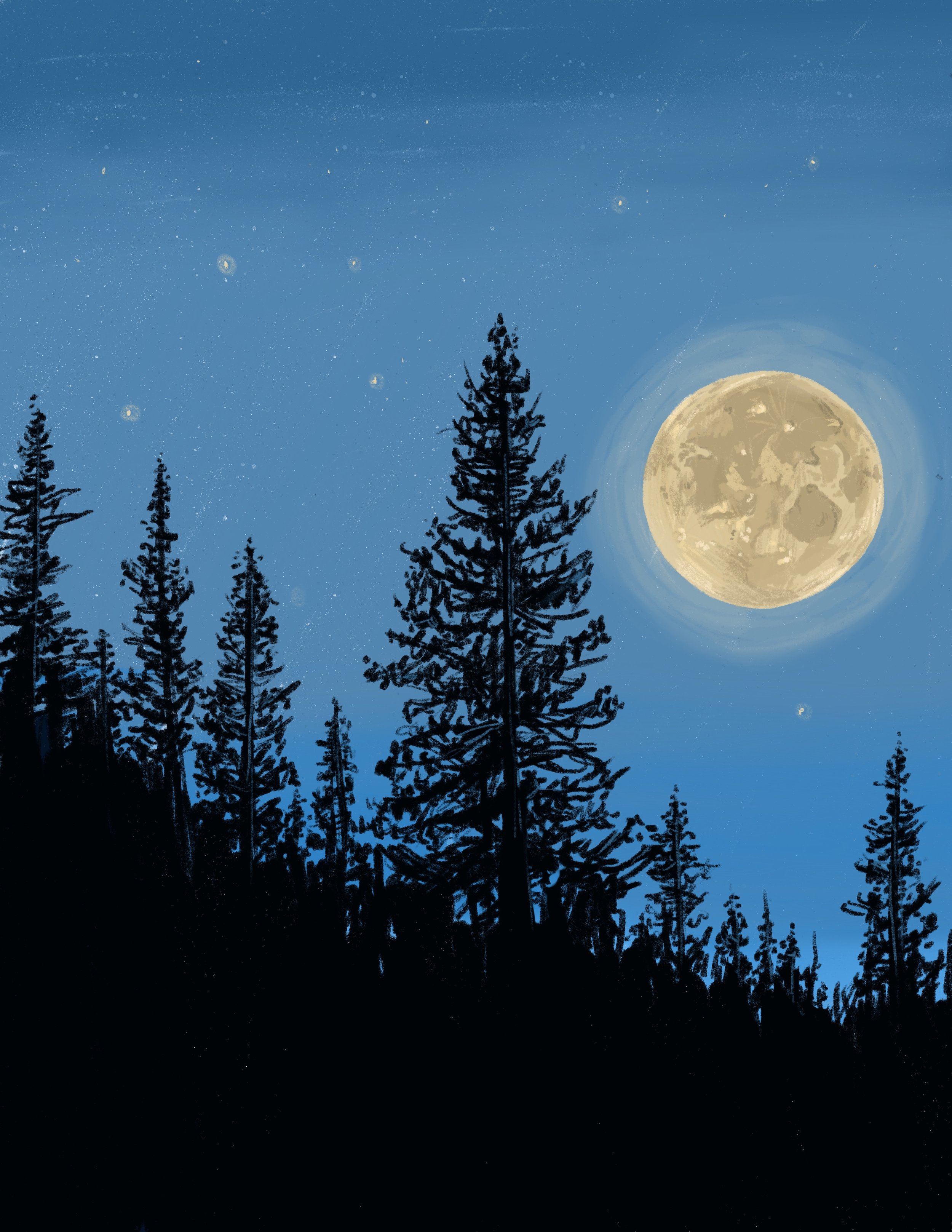 Untitled_Artwork 3.jpg