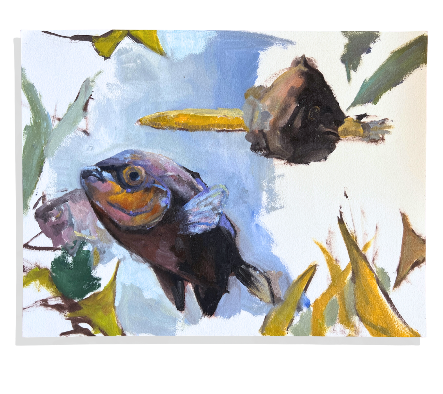 Untitled design 2.png