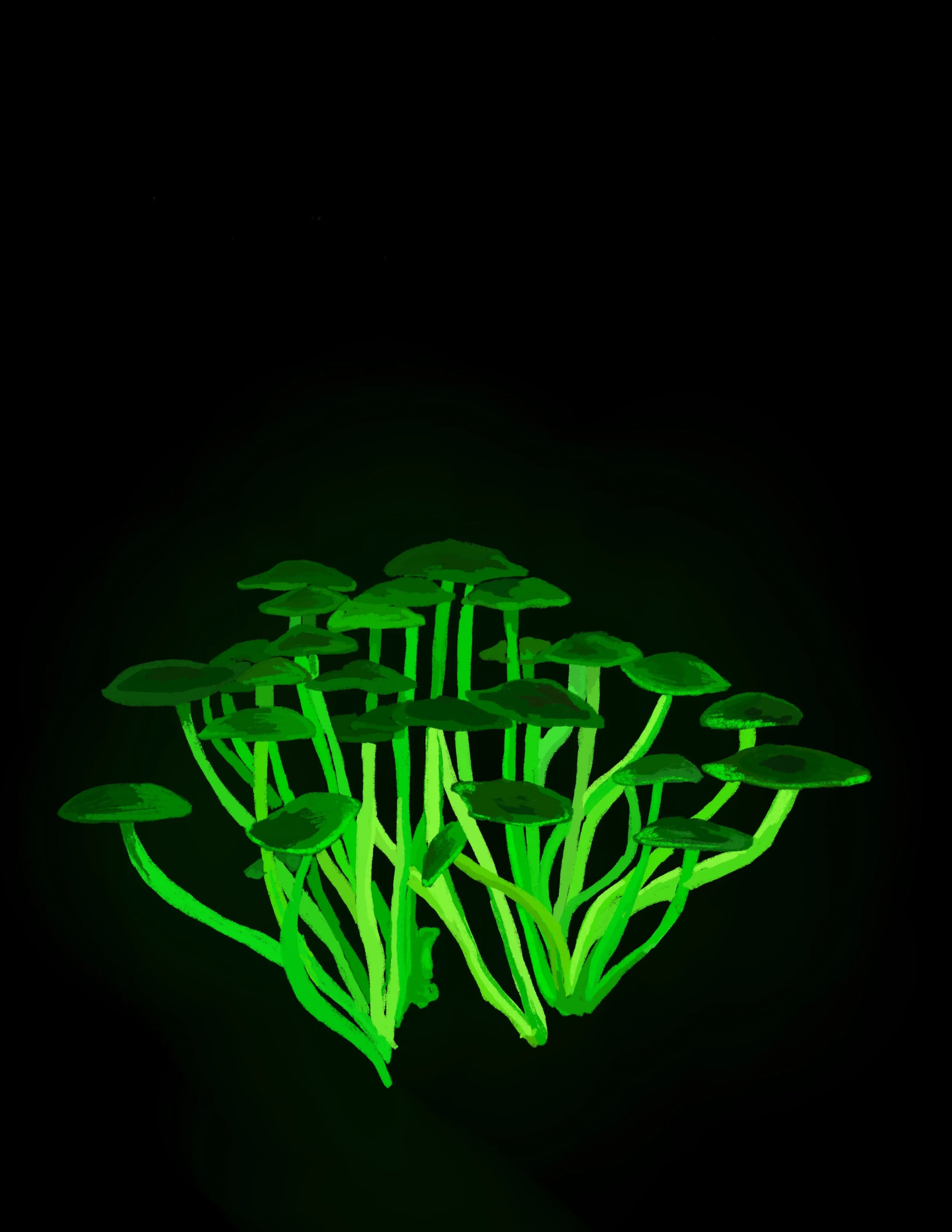 Bioluminescent Fungi