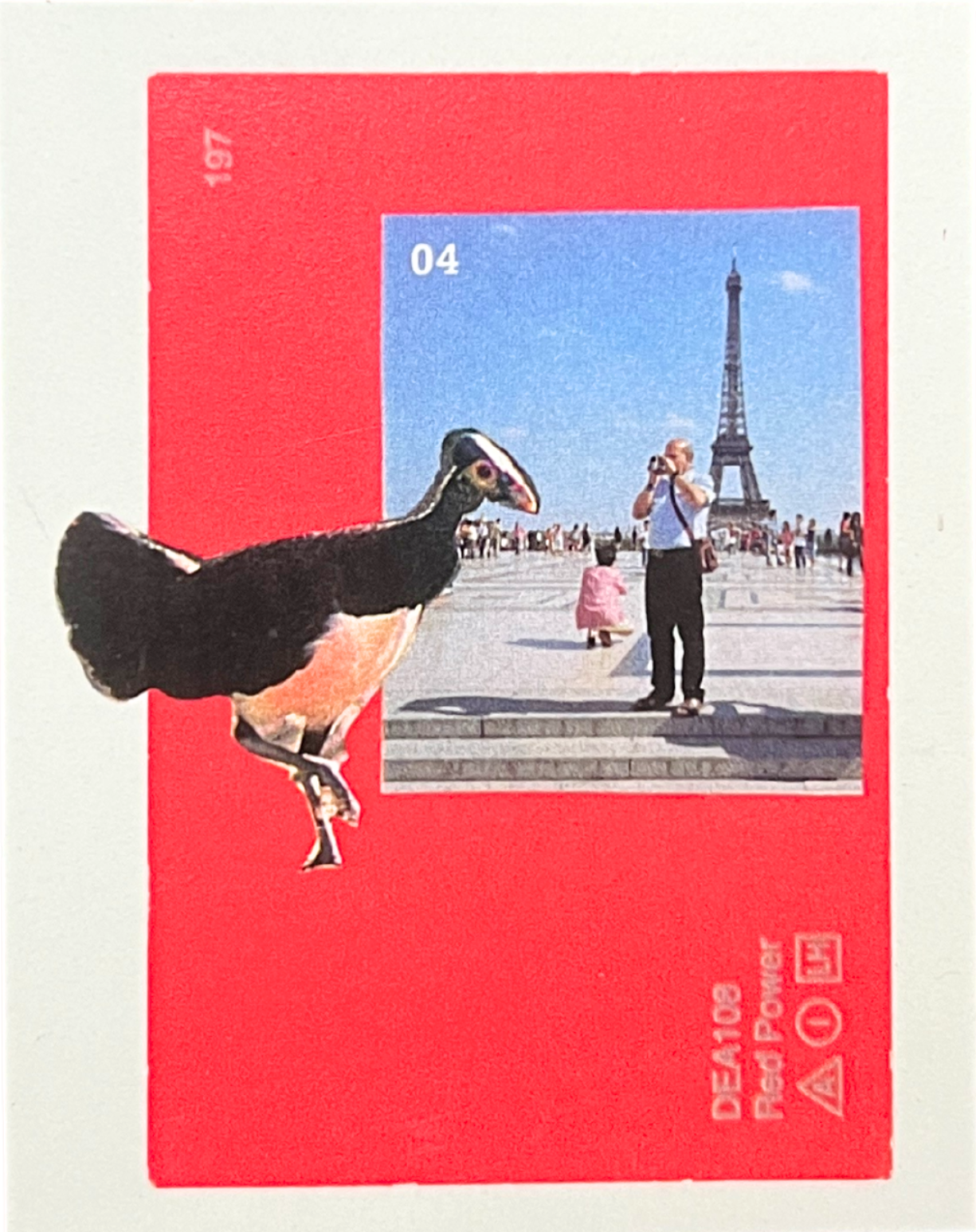 Tiny Man Big Bird Collage