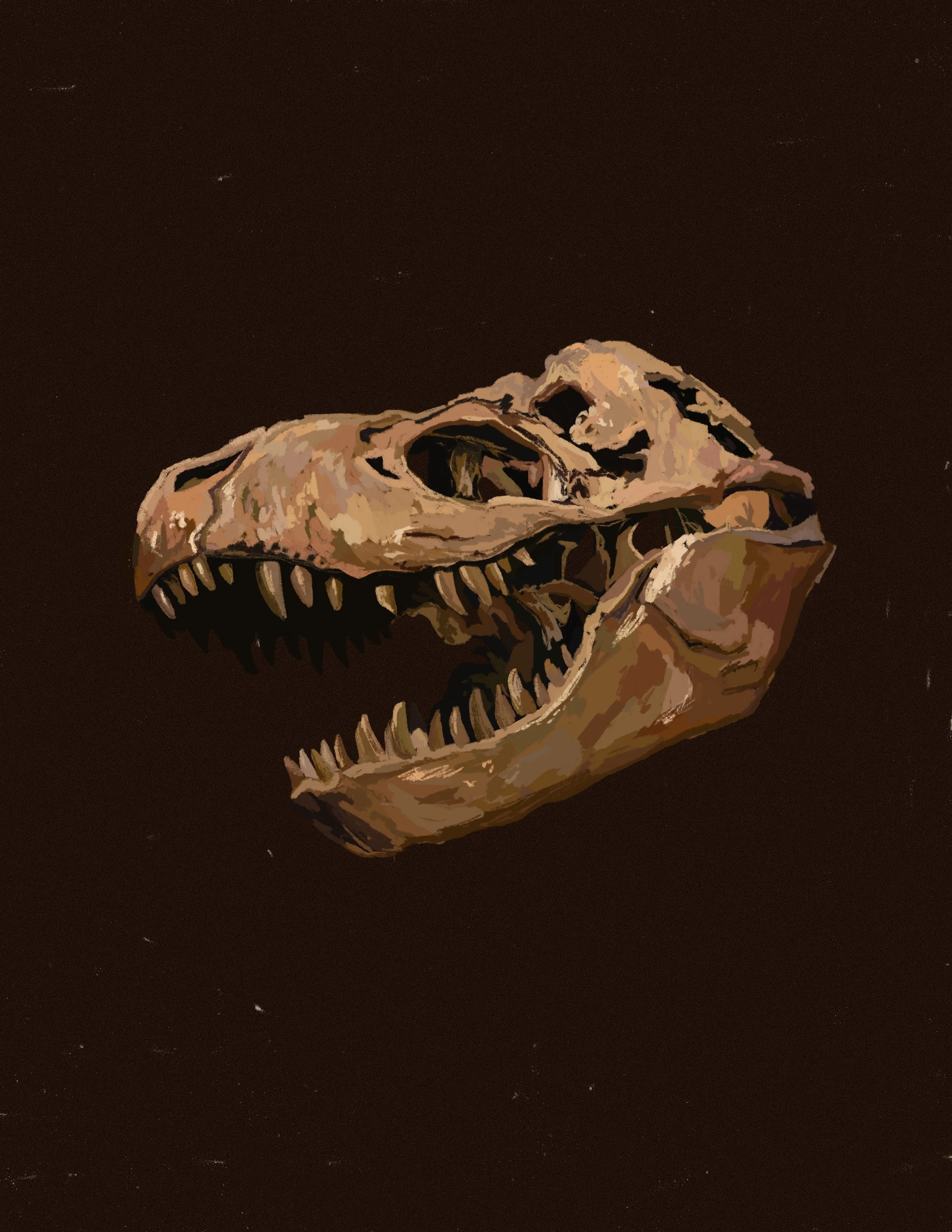 T-Rex Skull Print