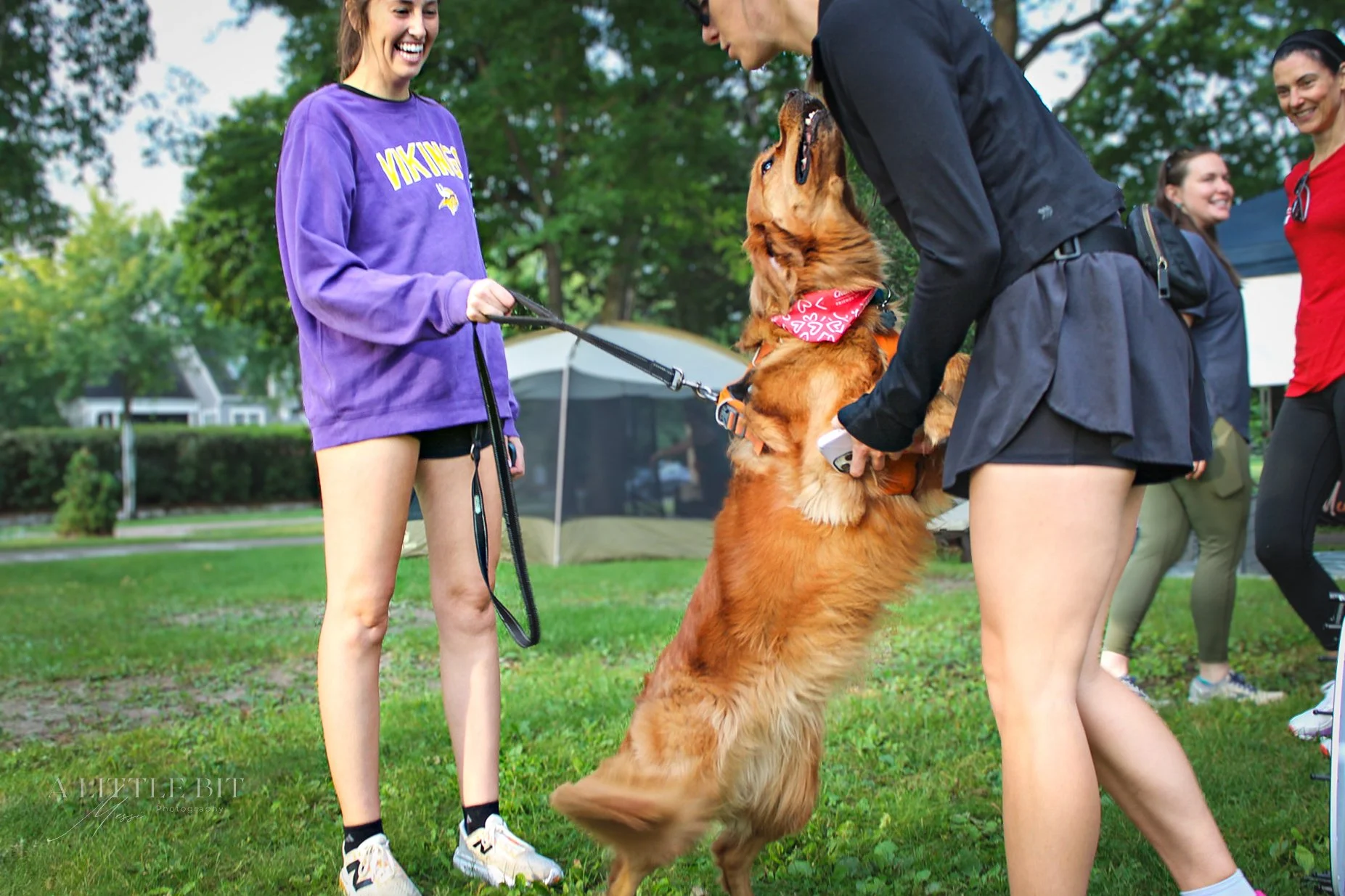 Fast & Furriest 5k-17.jpg