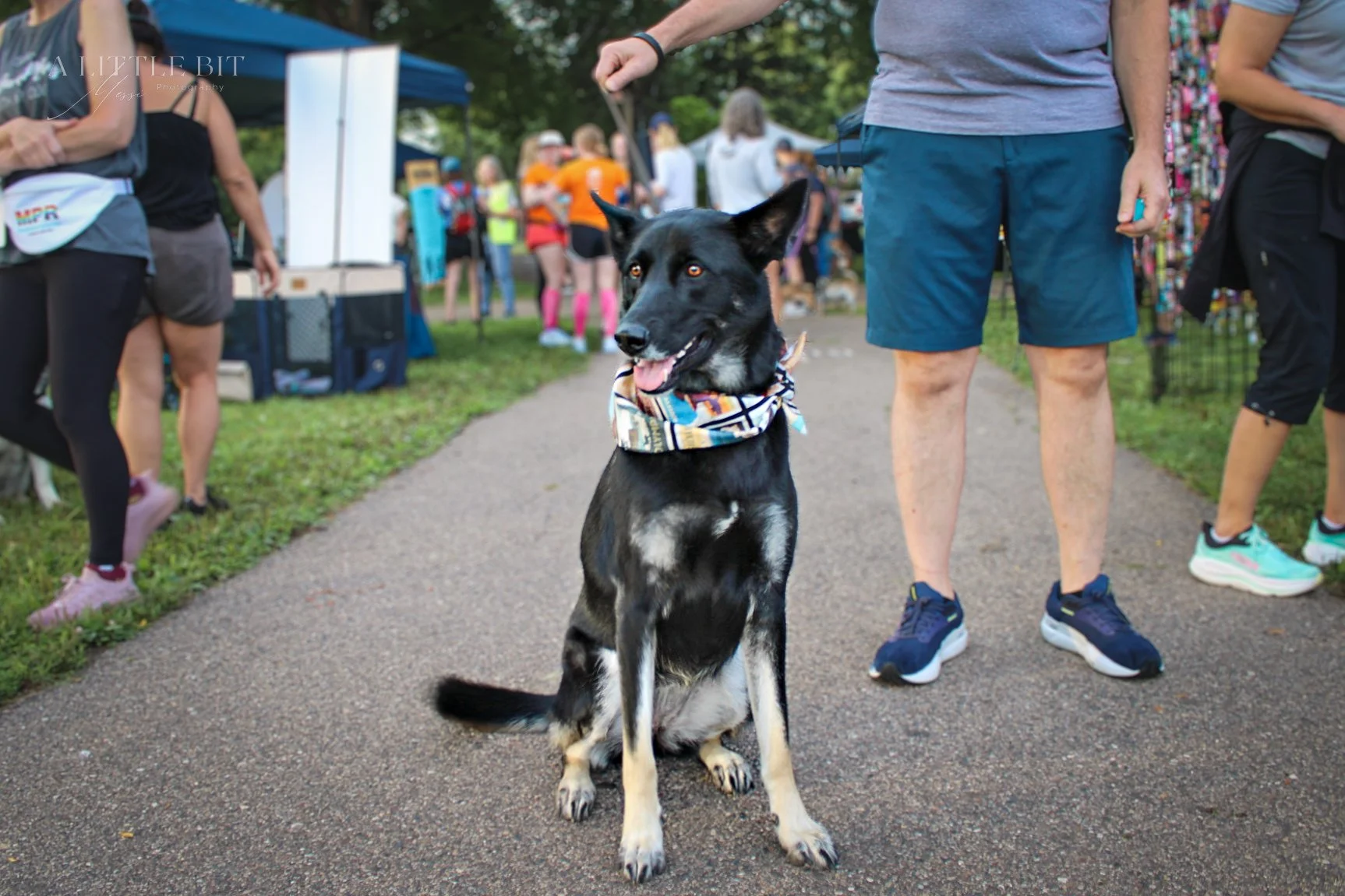 Fast & Furriest 5k-12.jpg