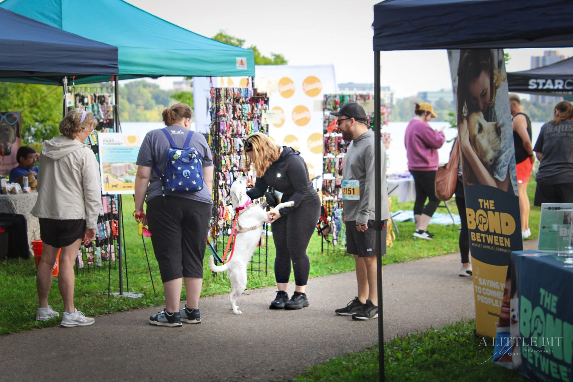 Fast & Furriest 5k-5.jpg