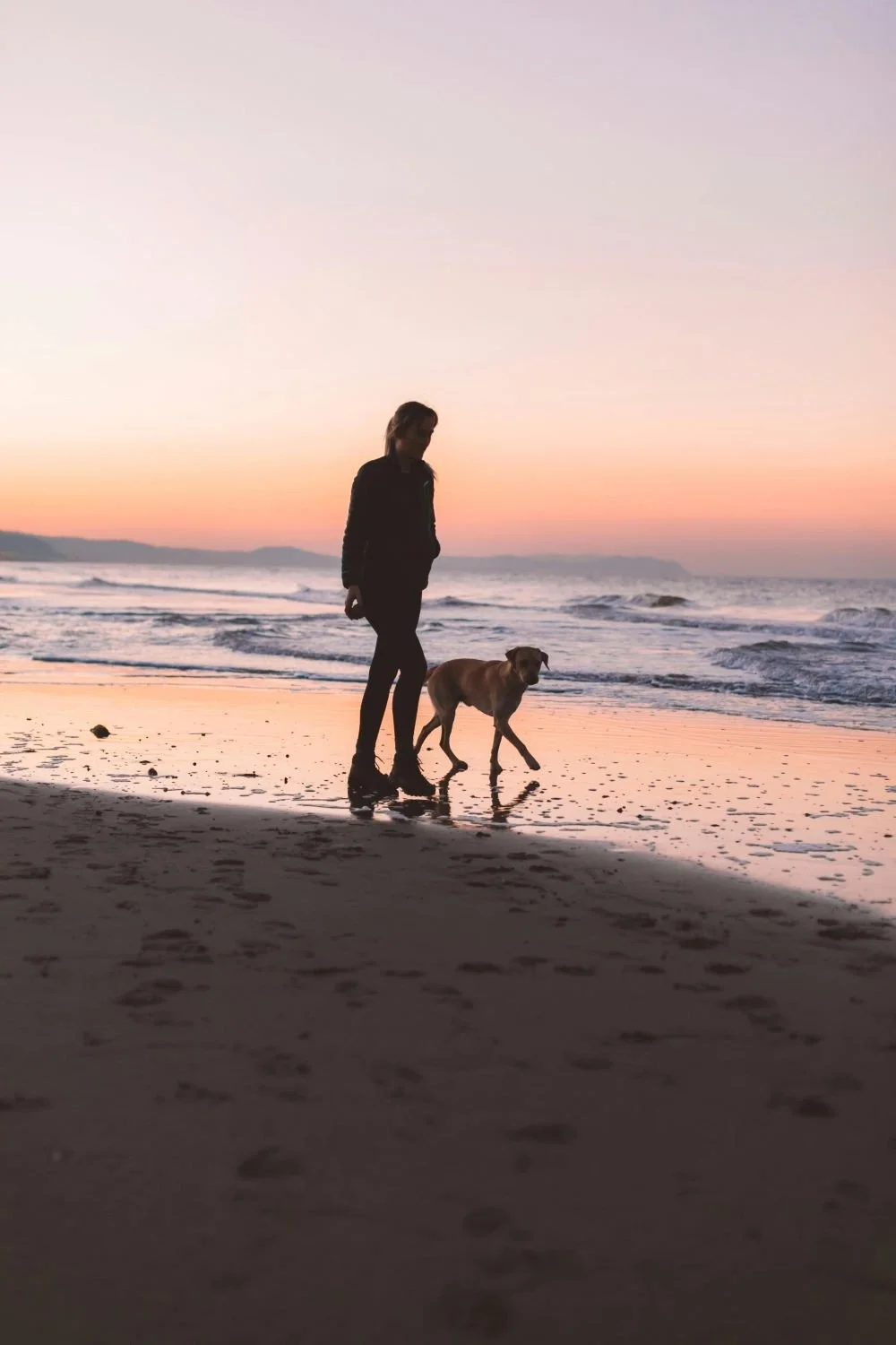 person and their pet walking in the shore