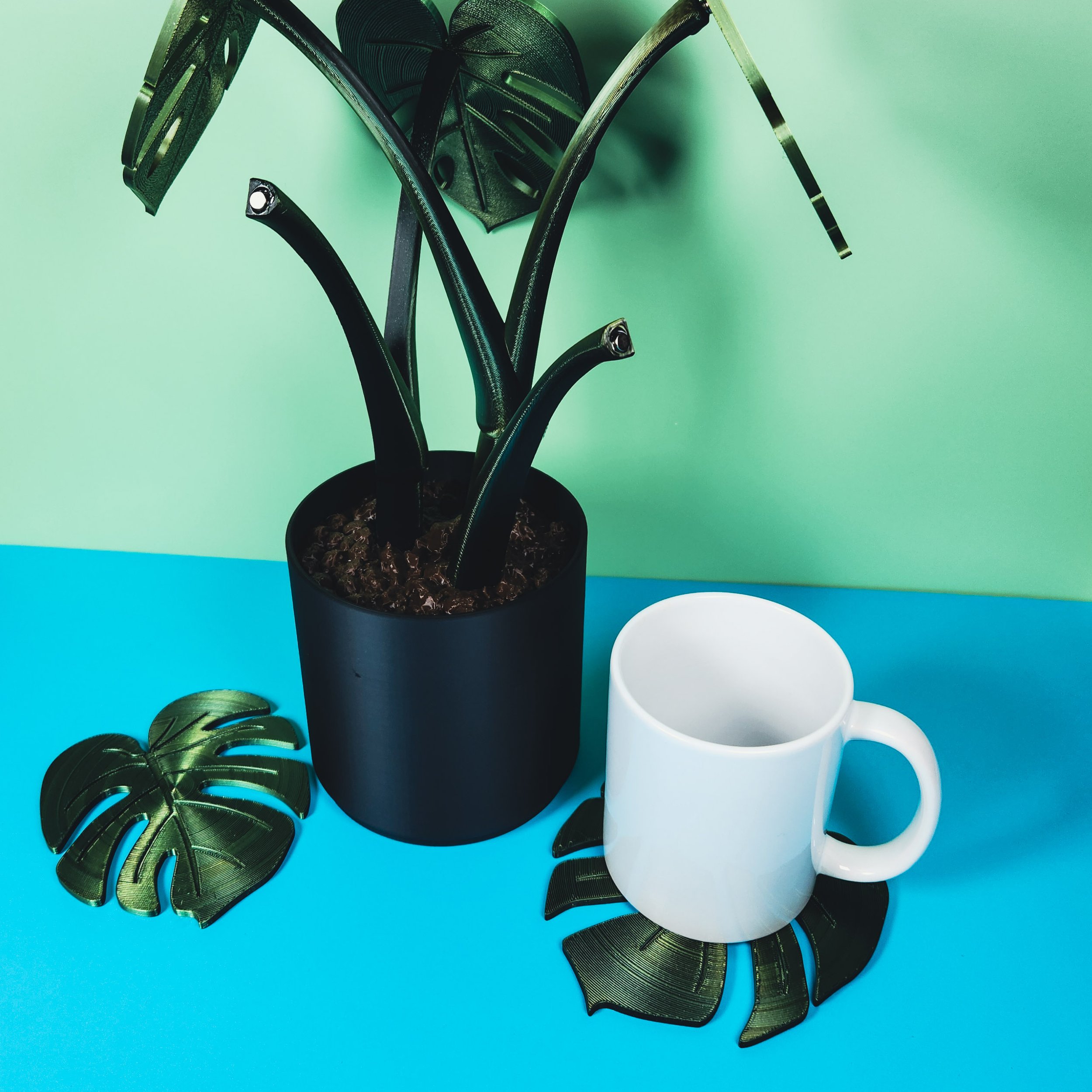 Dark Shiny Leaf Monstera Coaster Plant with Secret Compartment