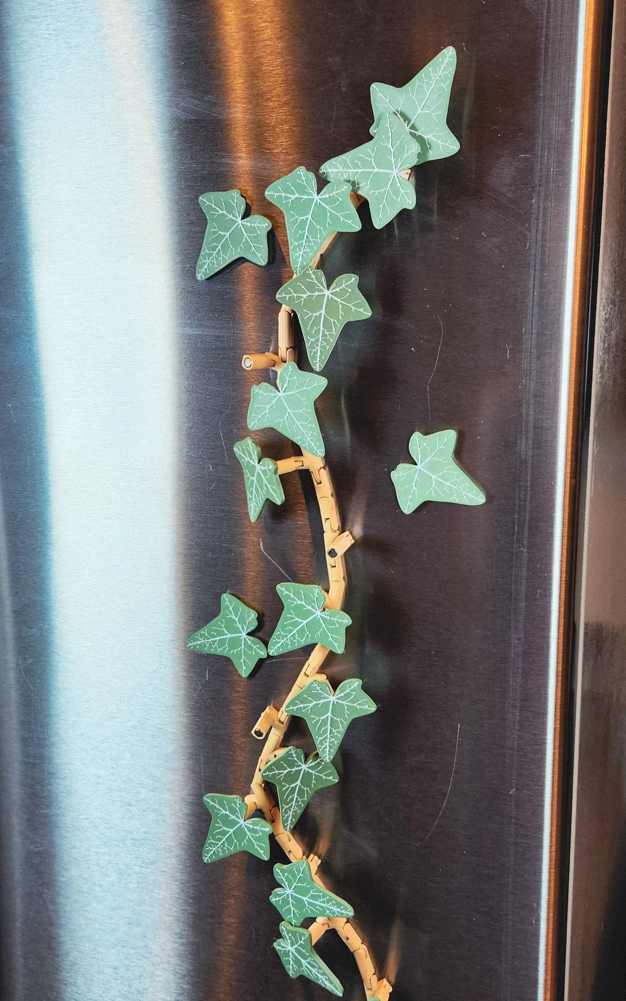 Magnetic Ivy