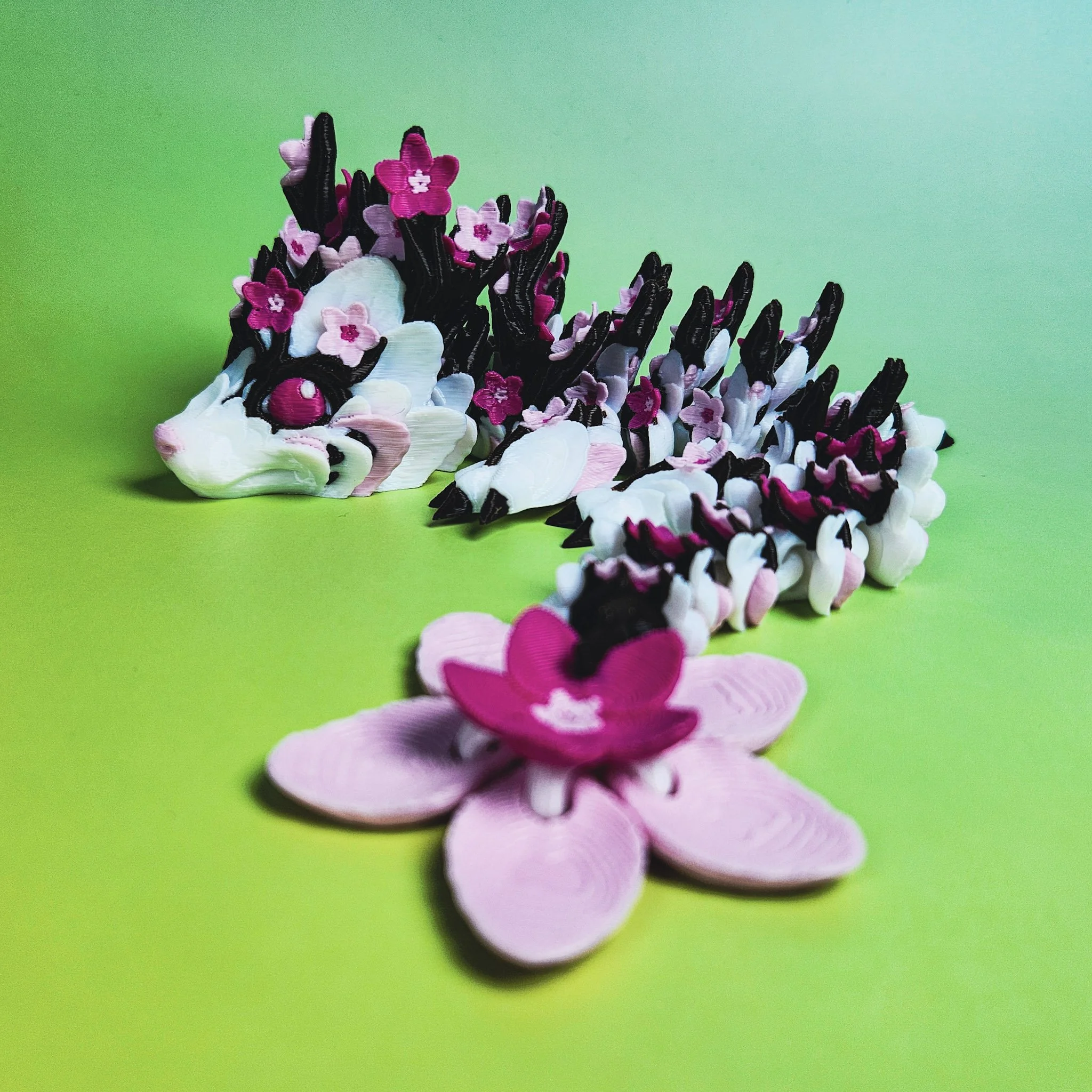 Baby Pink Cherry Blossom Dragon