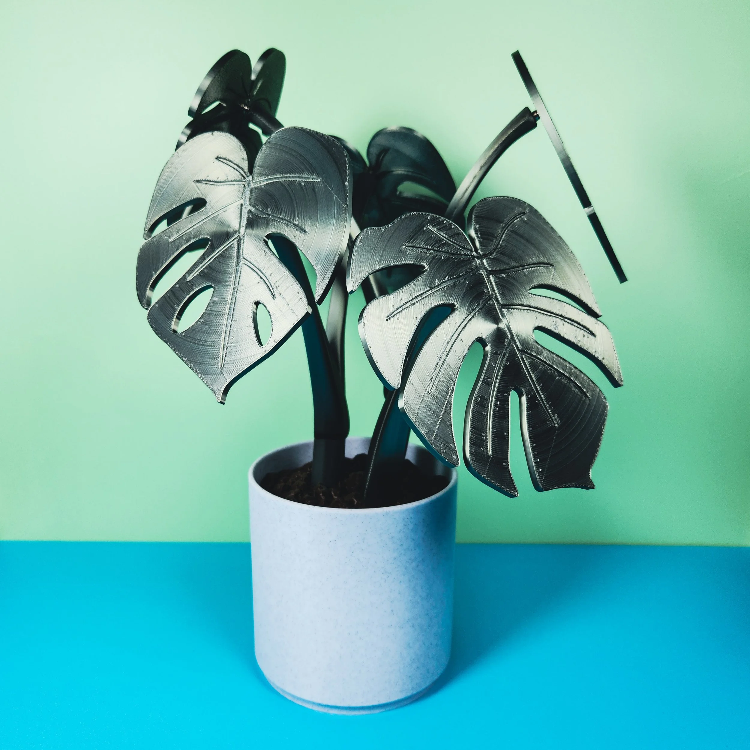 Seafoam Green Leaf Monstera Coaster Plant with Secret Compartment