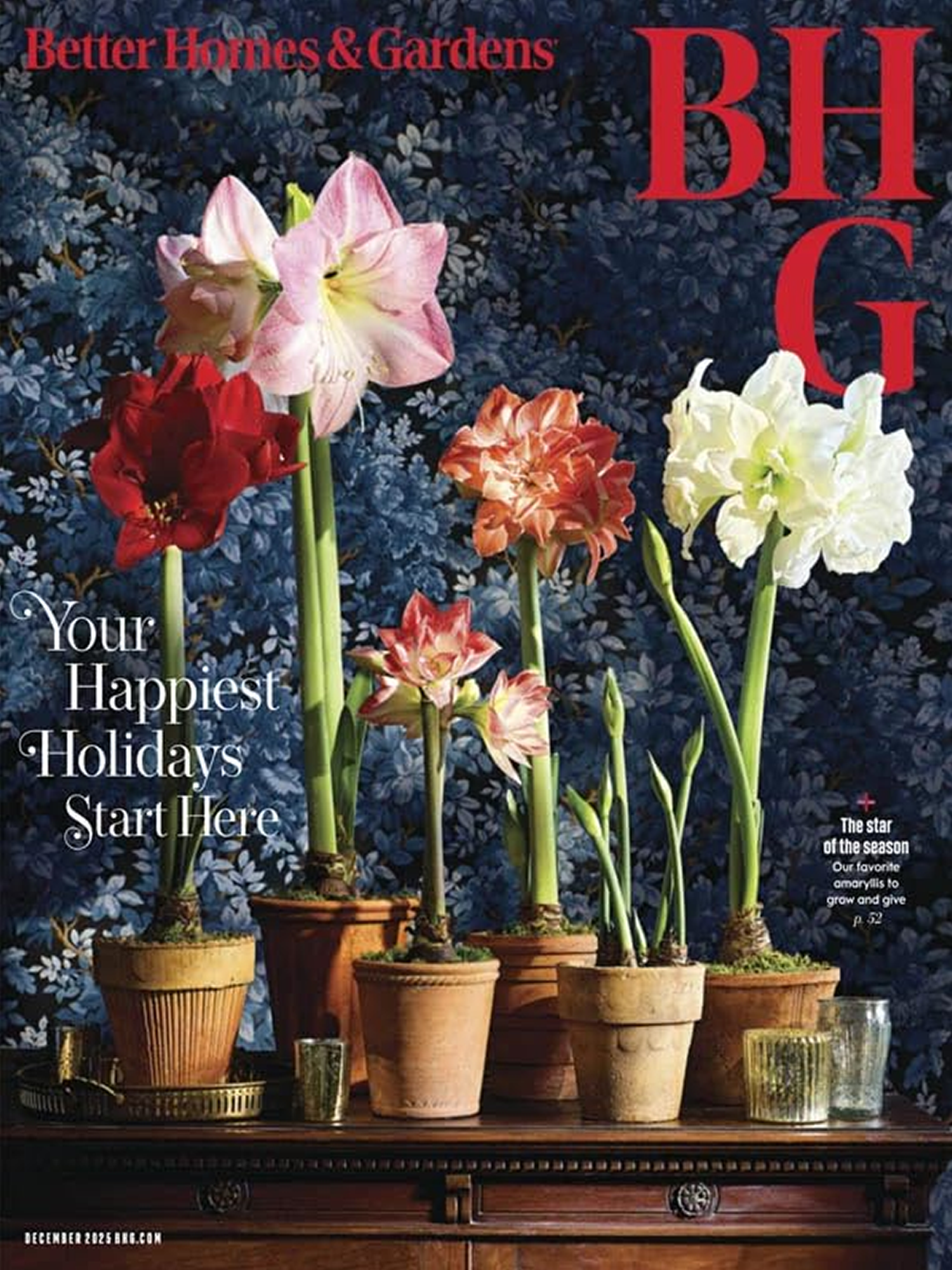 Homes &amp; Gardens