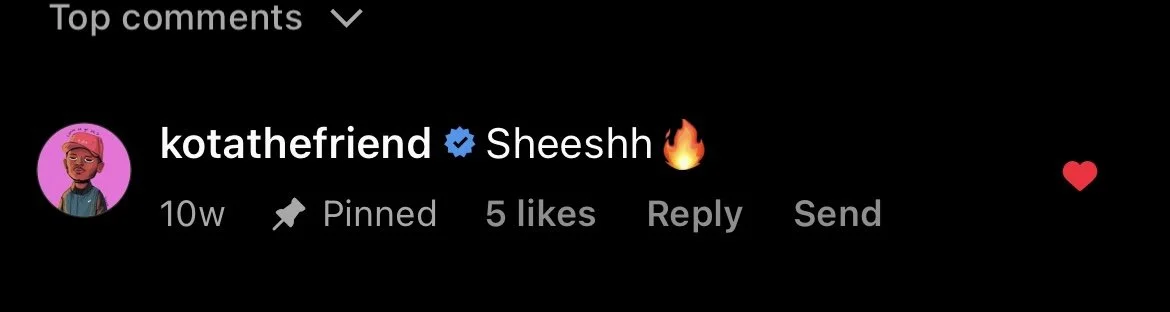 Kota The Friend.jpeg