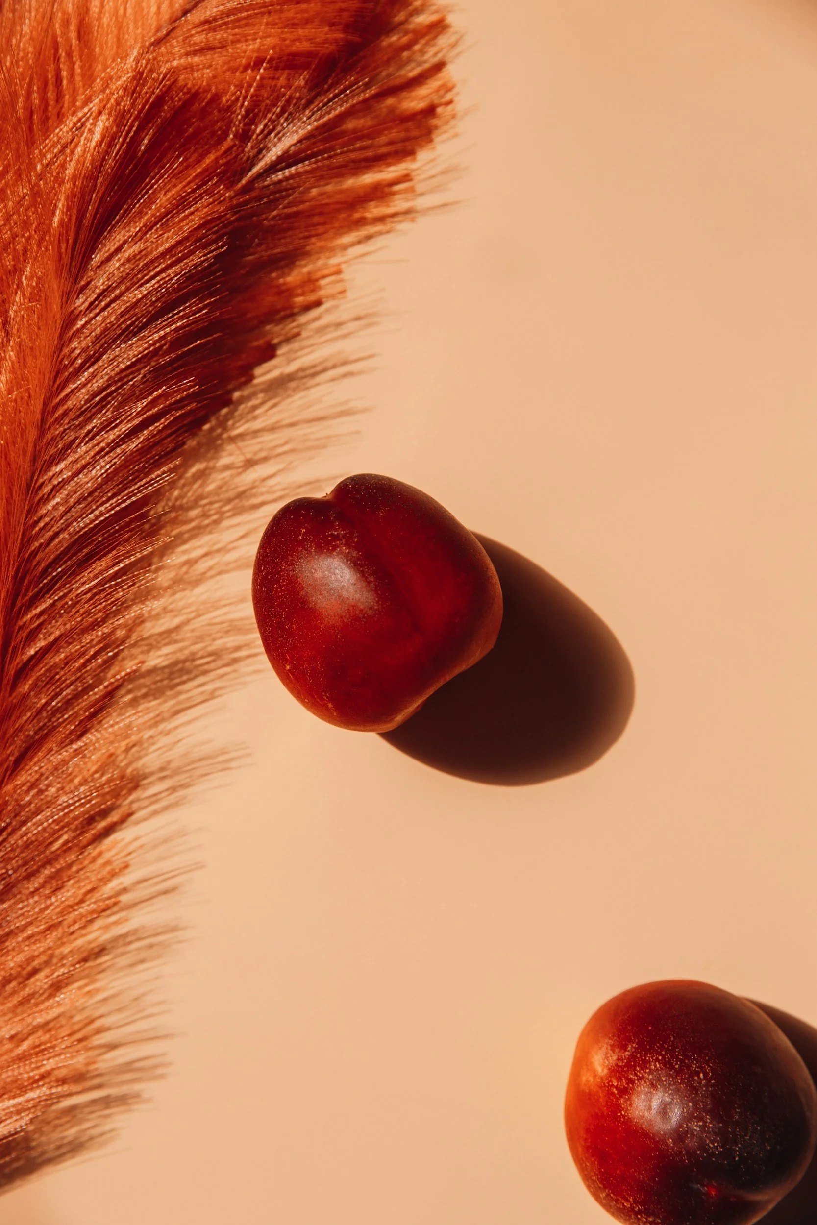 The Twenty-Year Seed