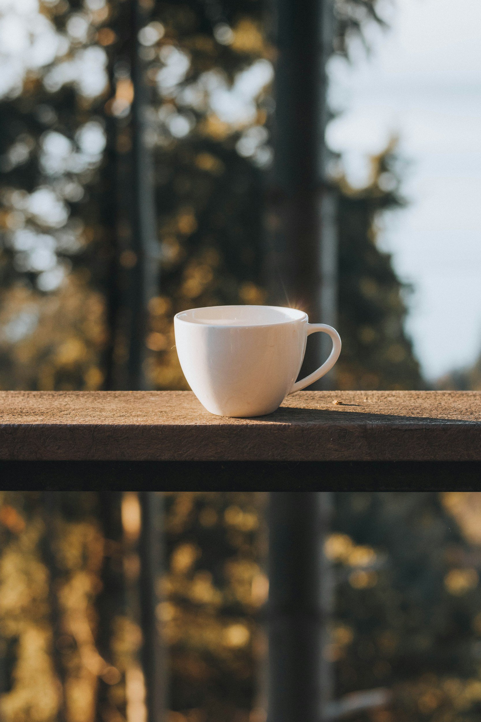 A single coffee mug resting on a wooden bench in nature, symbolizing pause and burnout prevention.
