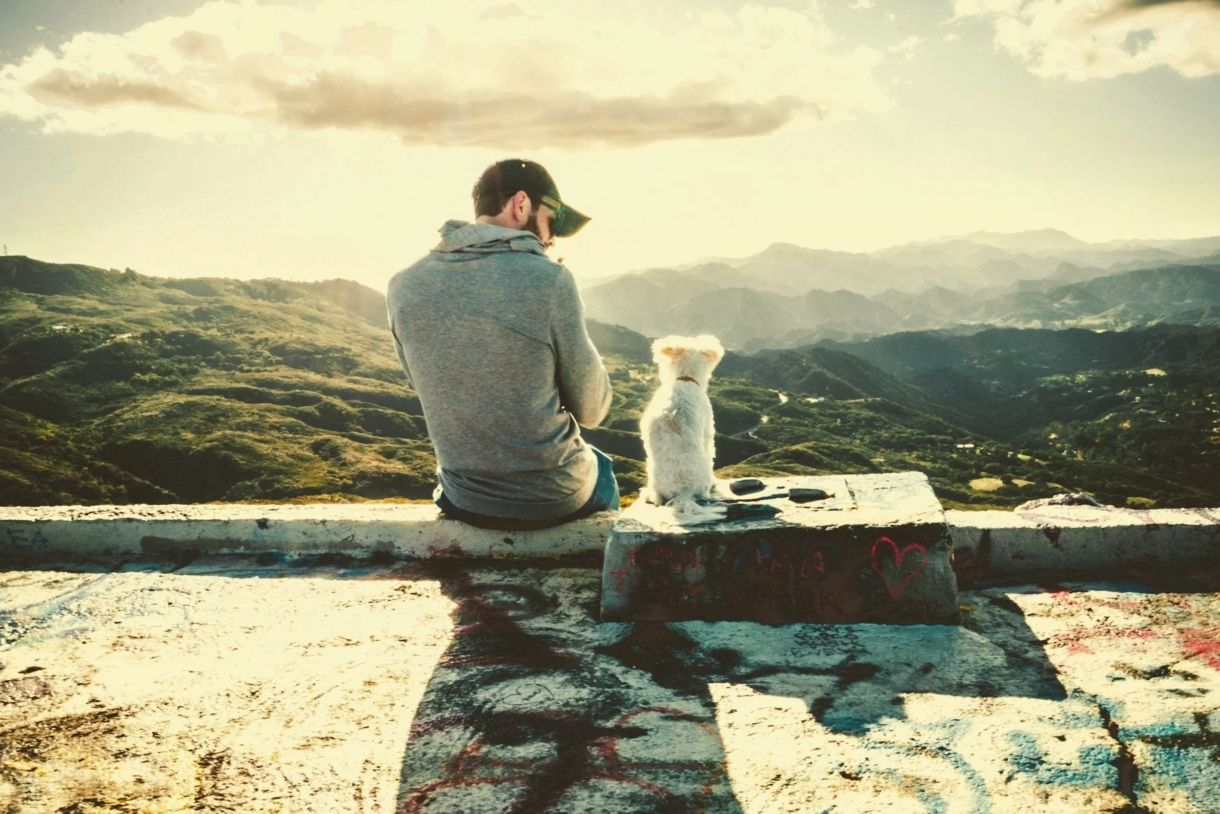 A person sitting on a concrete ledge with a dog, overlooking a scenic view of mountains and valleys during sunset.