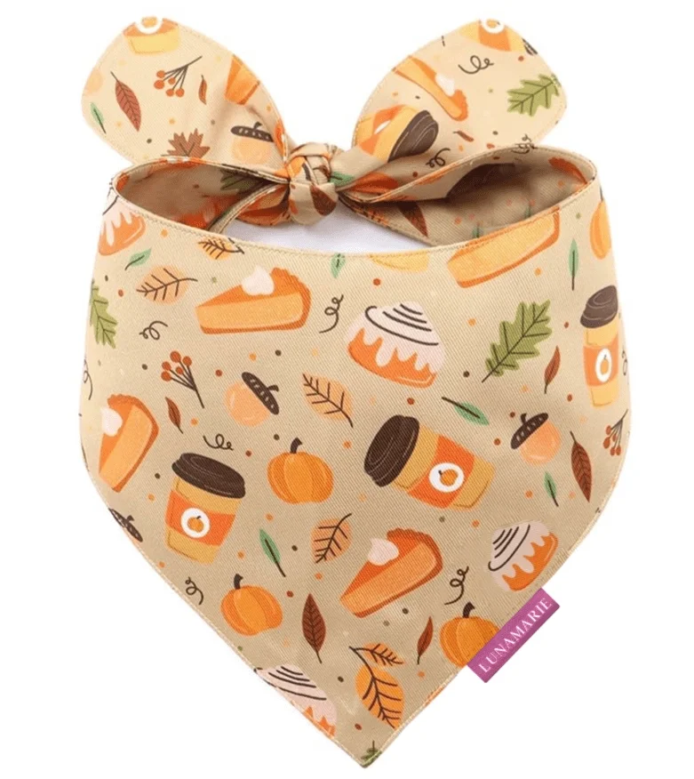 fallbandana.webp