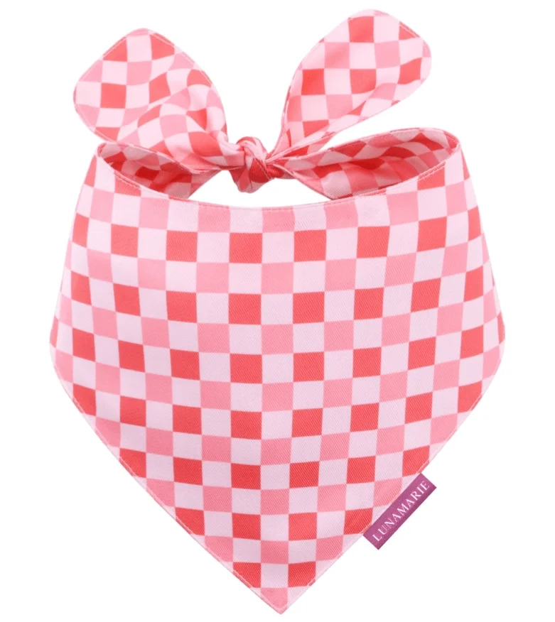 checkerbanx.webp