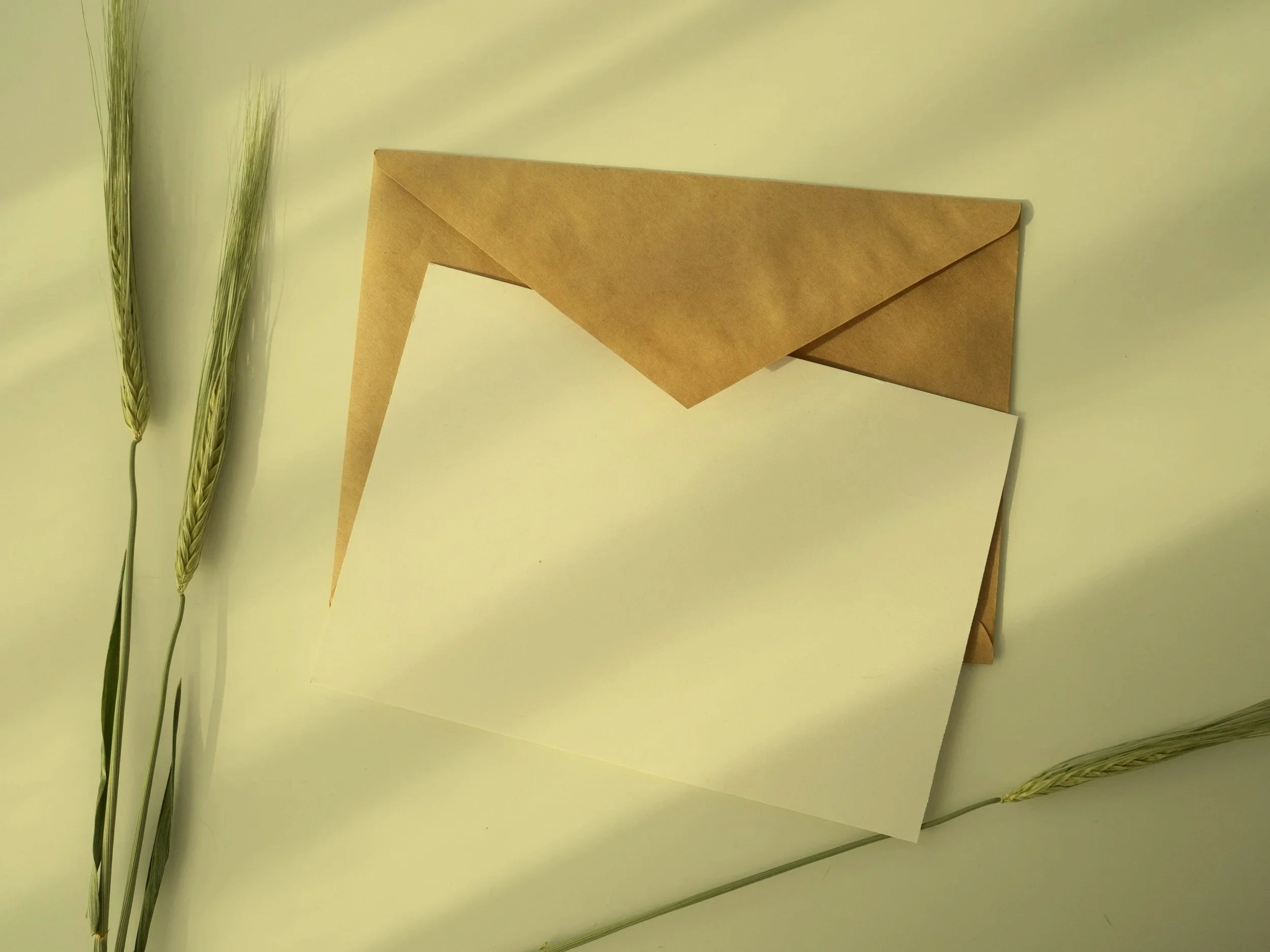 A beige envelope, a blank white card, and dried wheat stalks on a white surface.