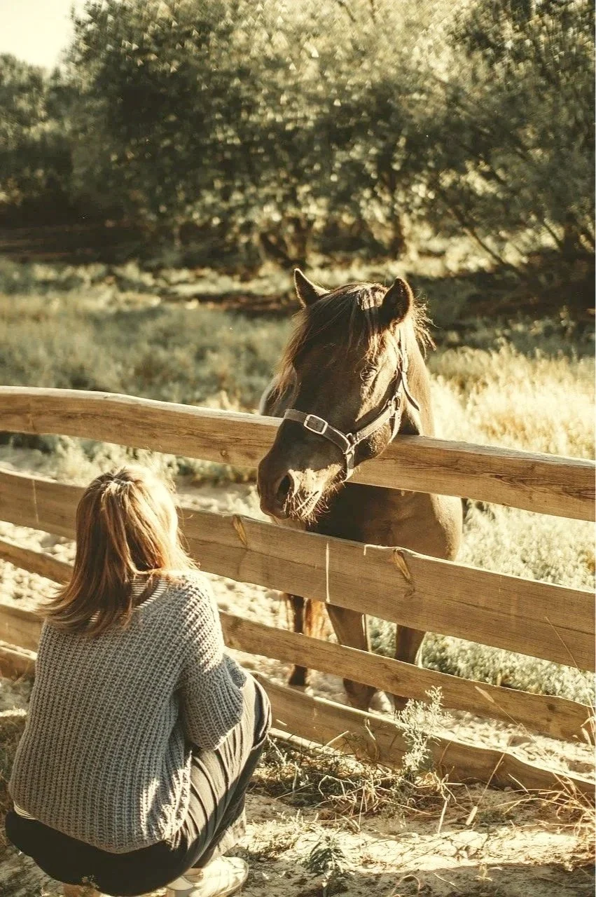 A person crouching near a wooden fence, looking at a horse that is leaning over the fence, in a natural outdoor setting with trees and grass.