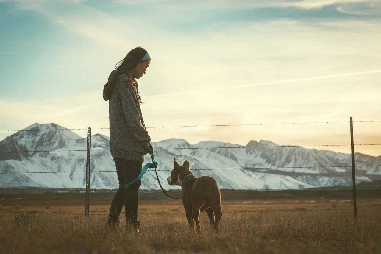 A woman standing in a field with a dog, with snow-capped mountains in the background during sunset.