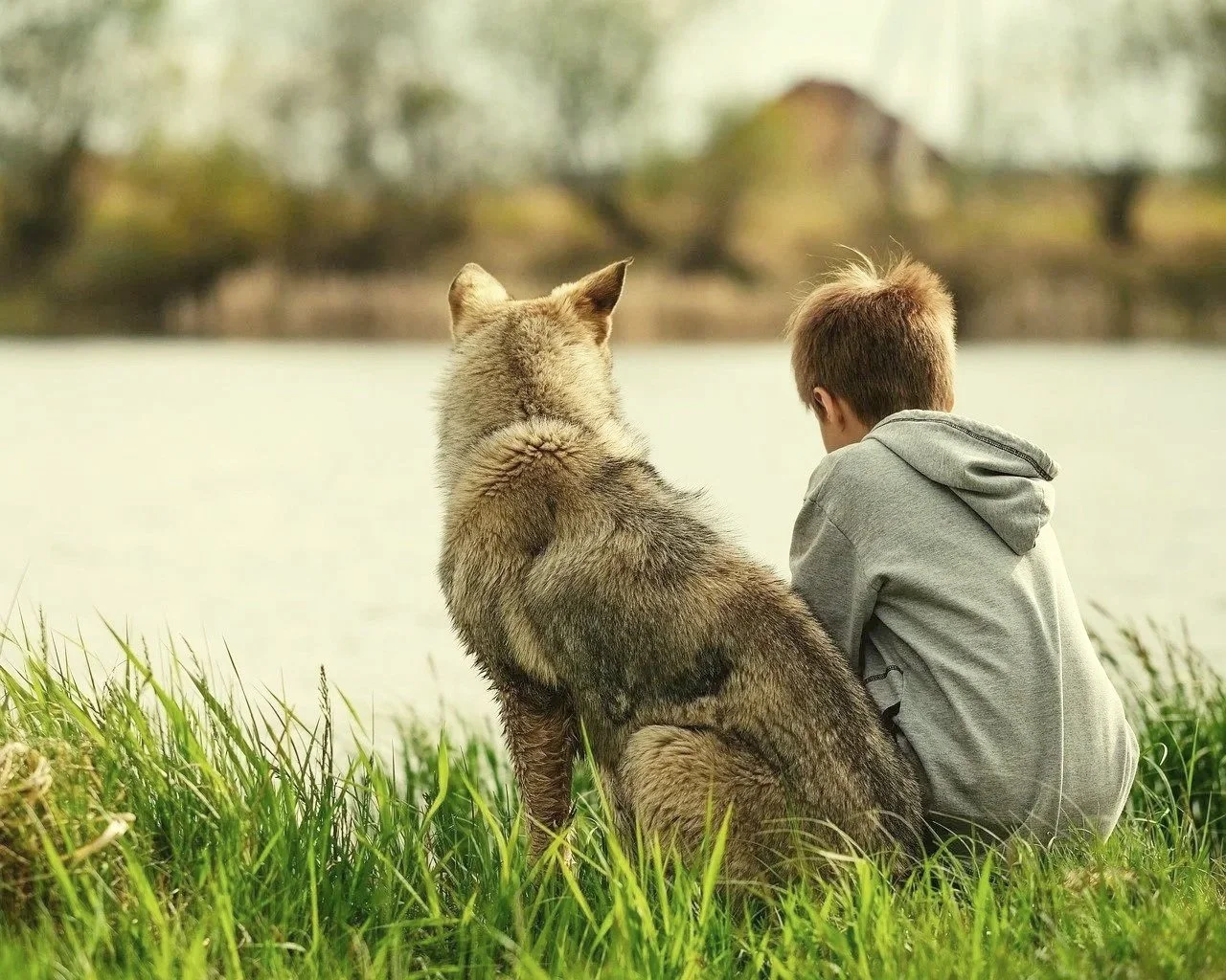 A boy and a wolf sitting together on the grass by a lake with trees in the background.