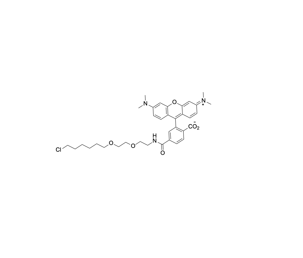 Halotag-TAMRA, 6-isomer, ADCC-0057, cas2764890-88-0.png