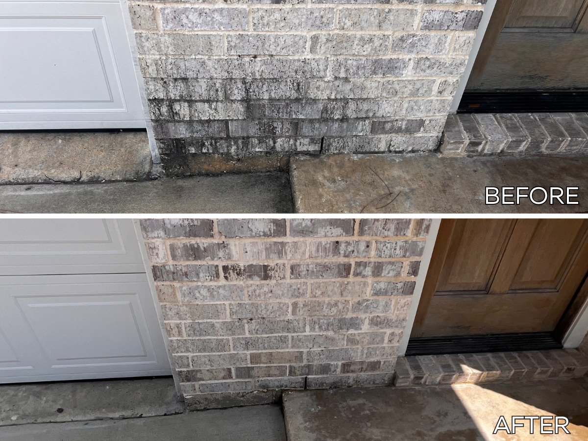 Curb Appeal Refresh