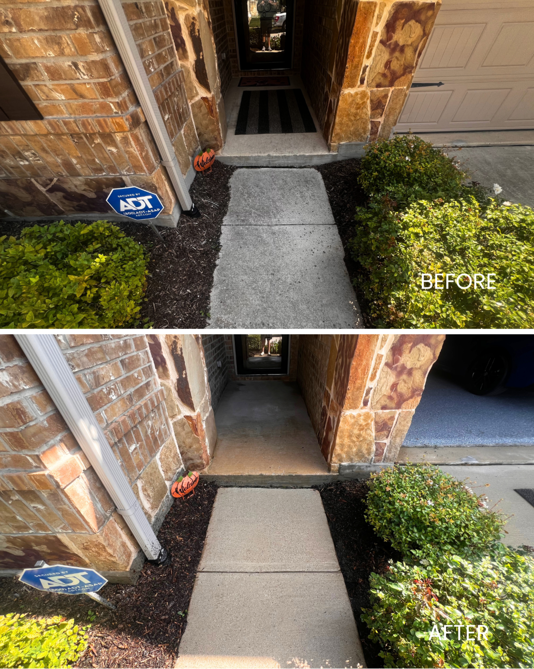 Curb Appeal Refresh