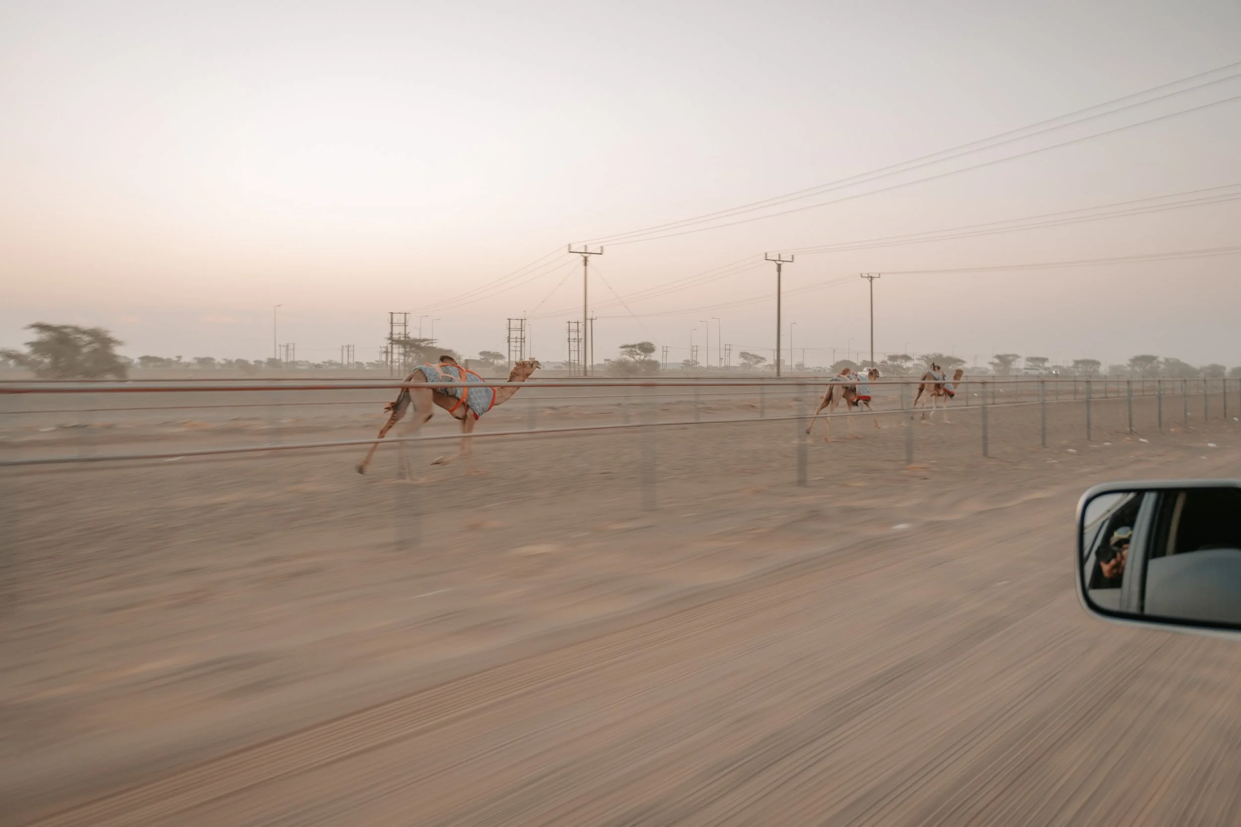 DSCF9153.jpg