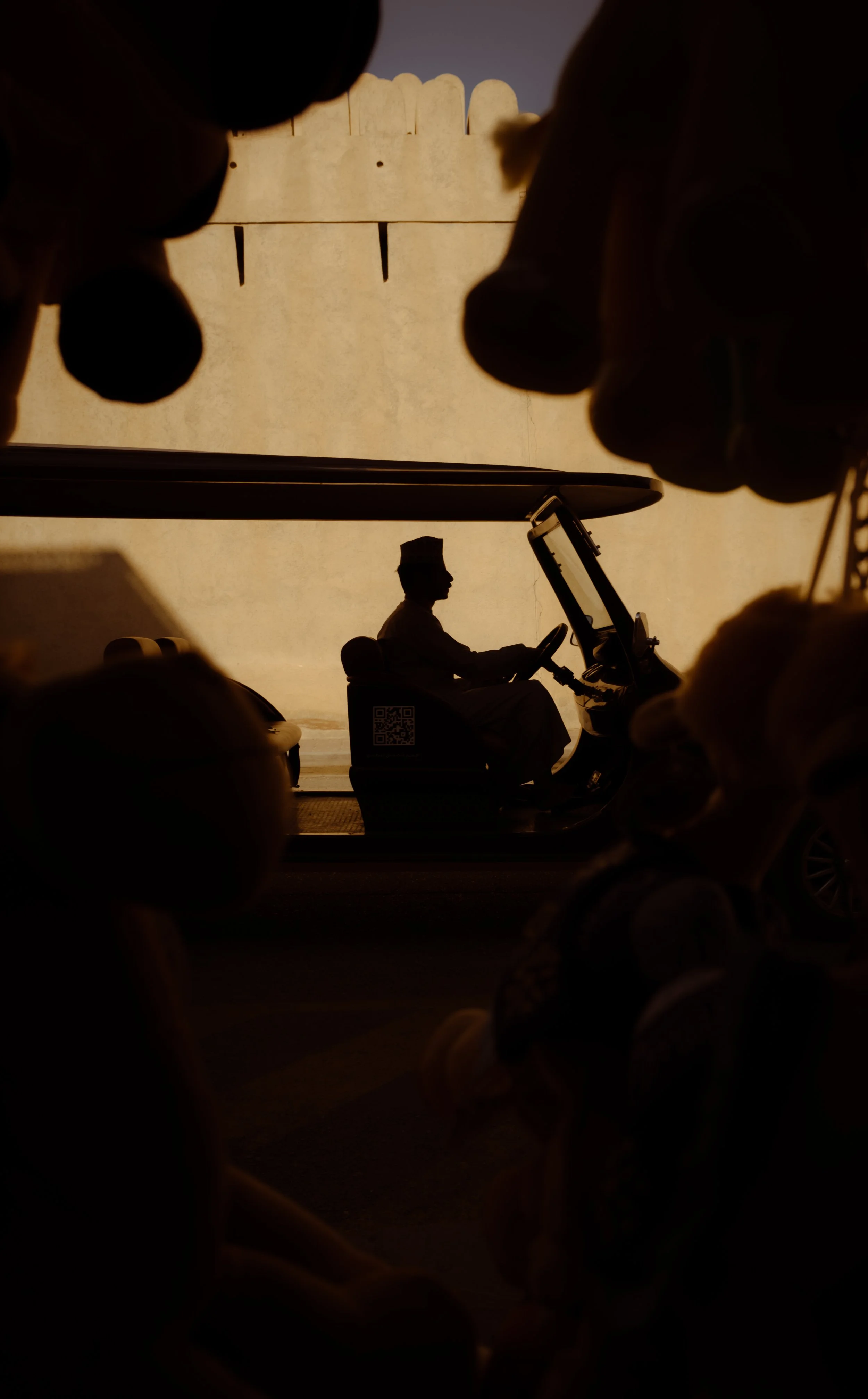 DSCF6618.jpg