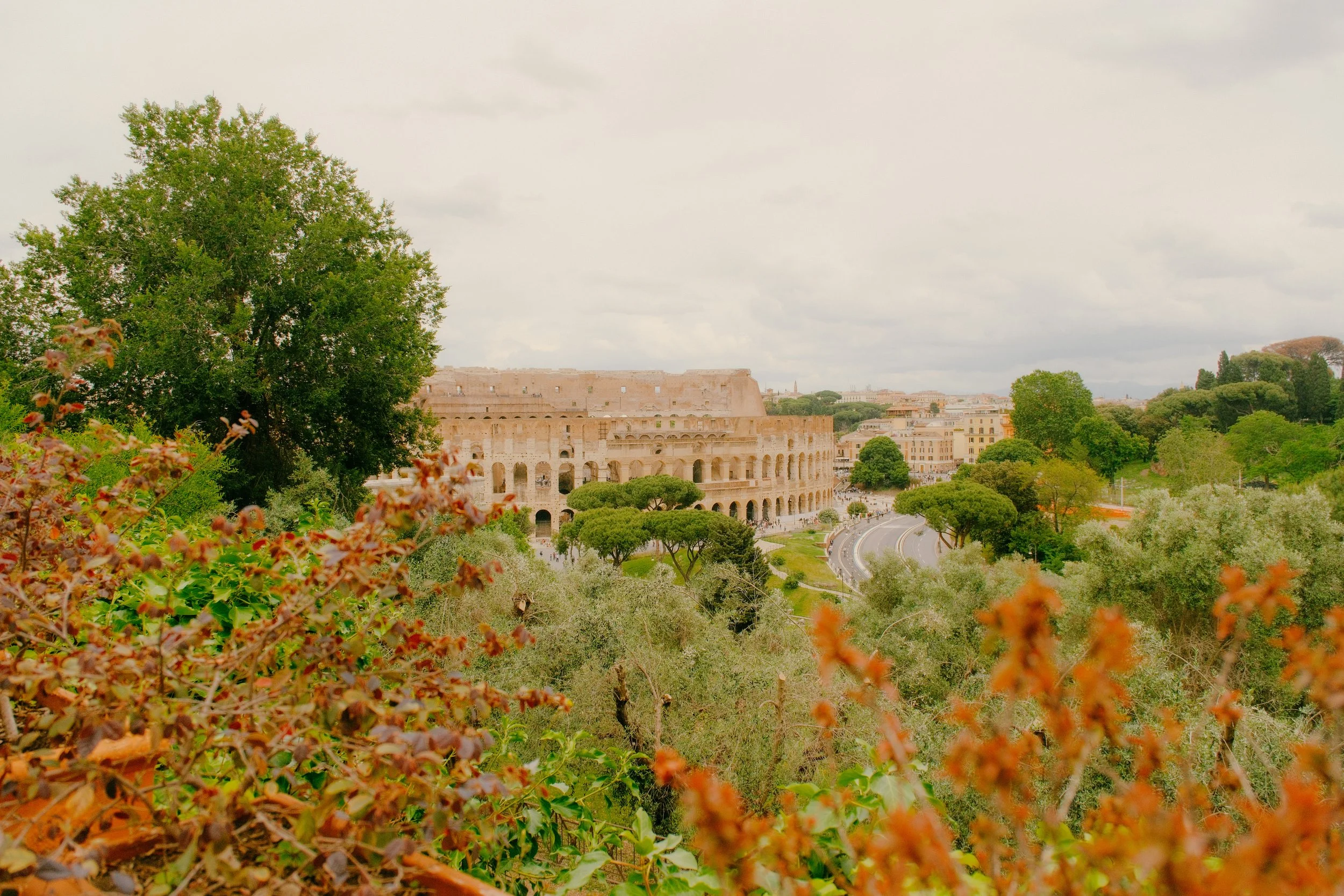 DSCF1356-2.jpg