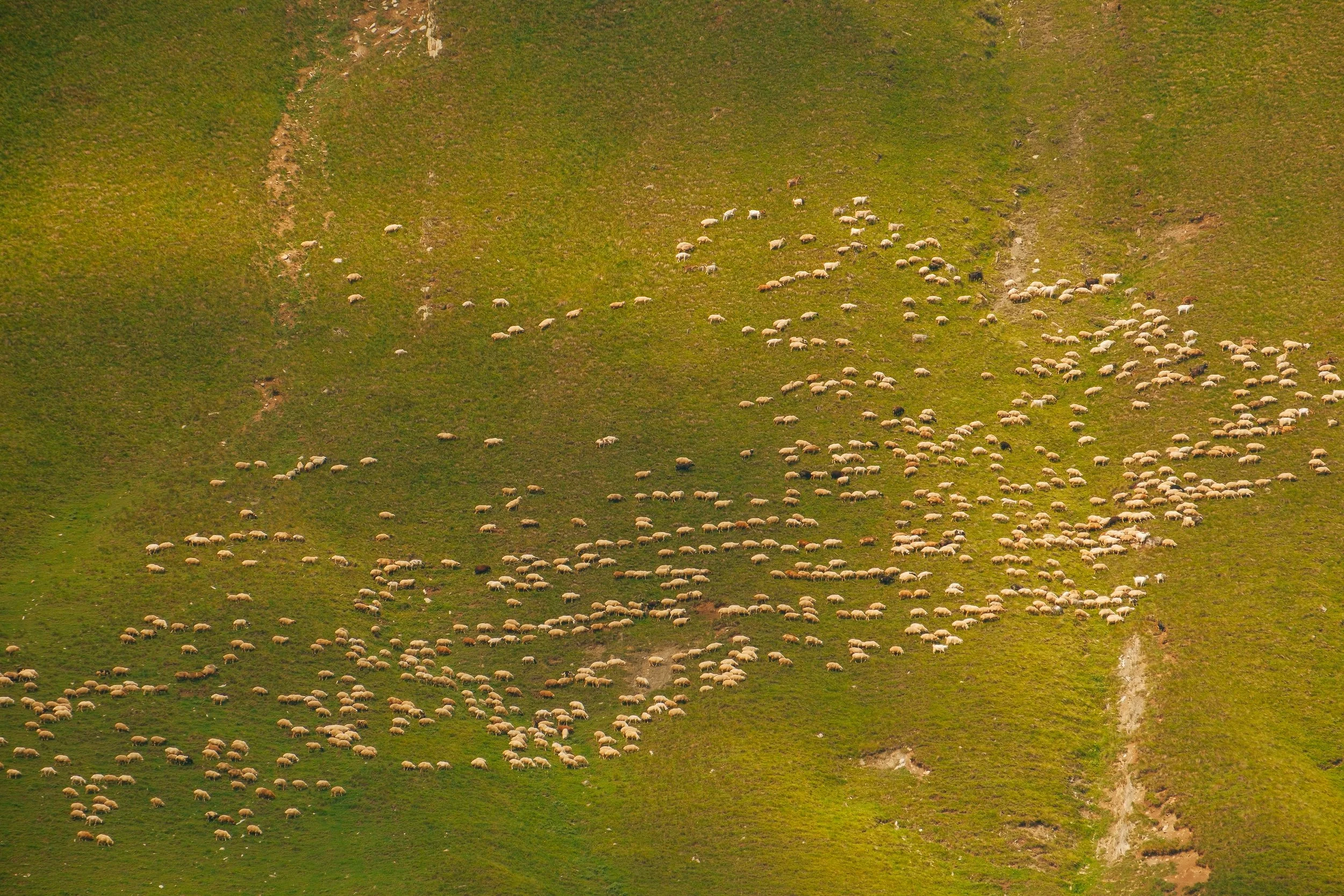 DSCF9867.jpg